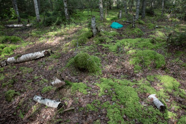 Концептуальные арт проекты. Татьяна Корчагина. Фотограф, художник. Обучение фотографии