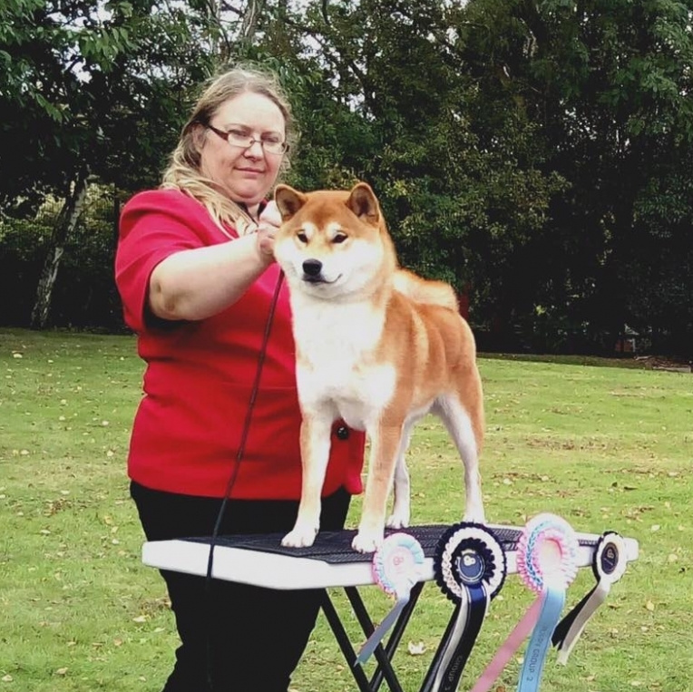 GRADUATES OF THE KENNEL. SHIOMARU Shiba and Akita Inu Kennel