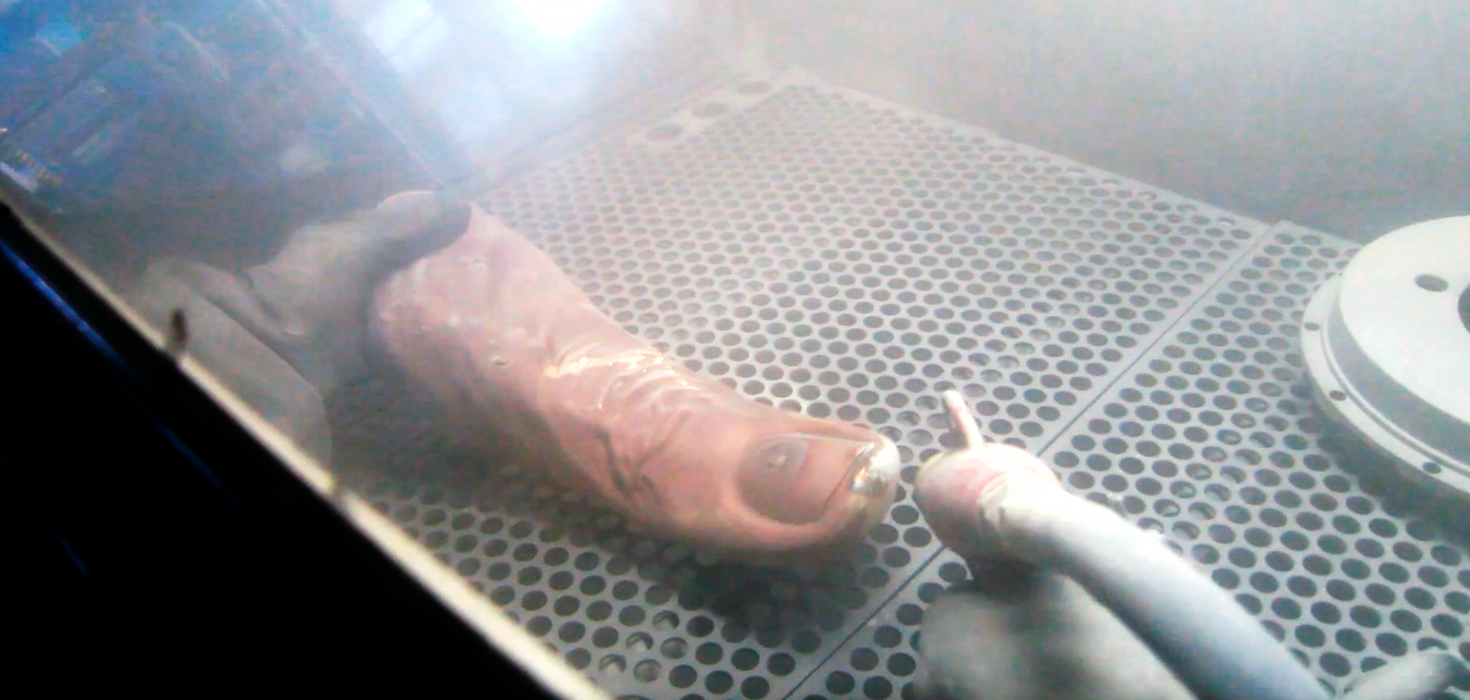 Мастерская. Anatoly Vass. — авторский уникальный бренд ручной работы