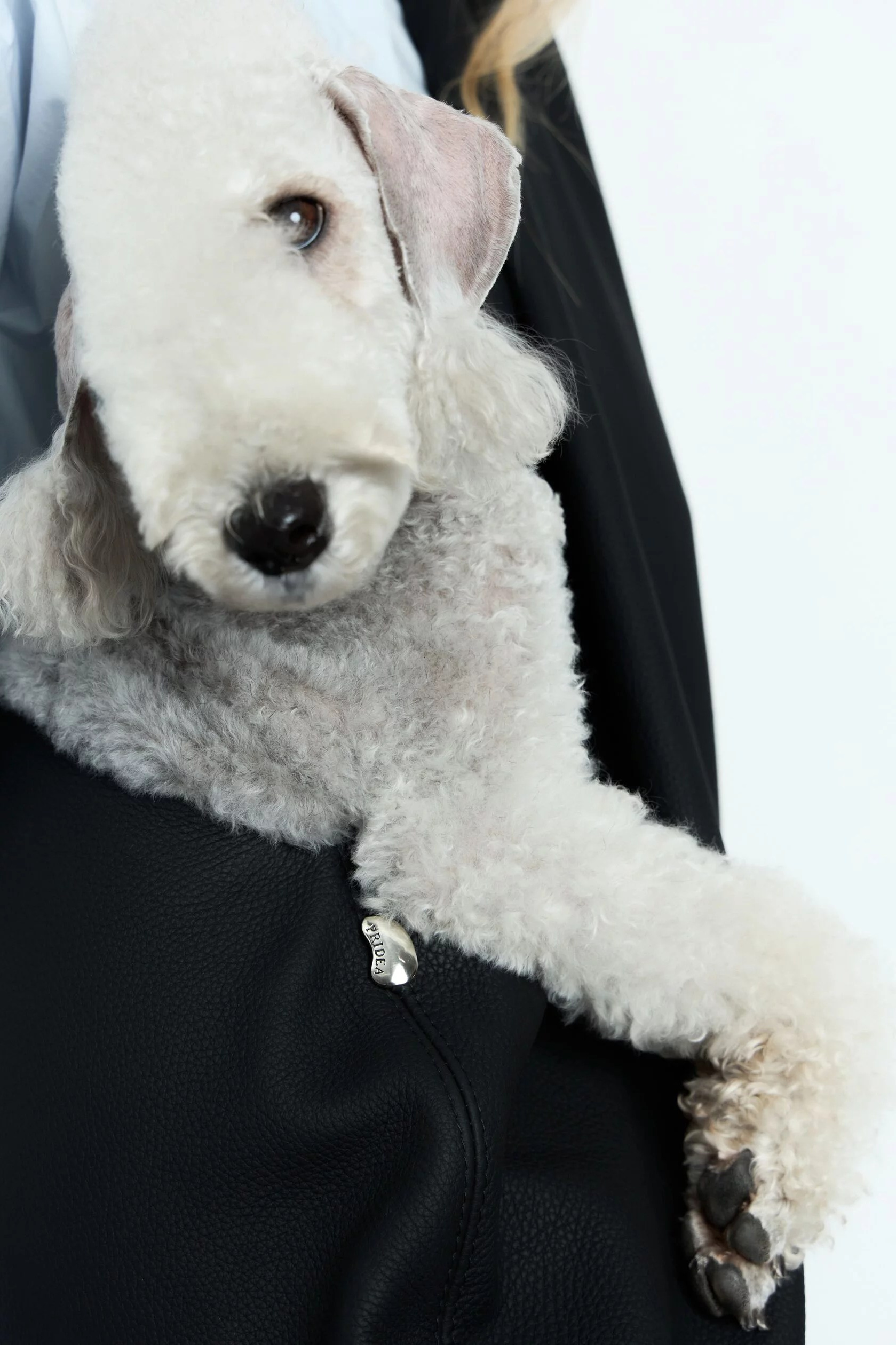 Изготовление брендовой фурнитуры на заказ для сумок, одежды, рюкзаков в Joker-studio