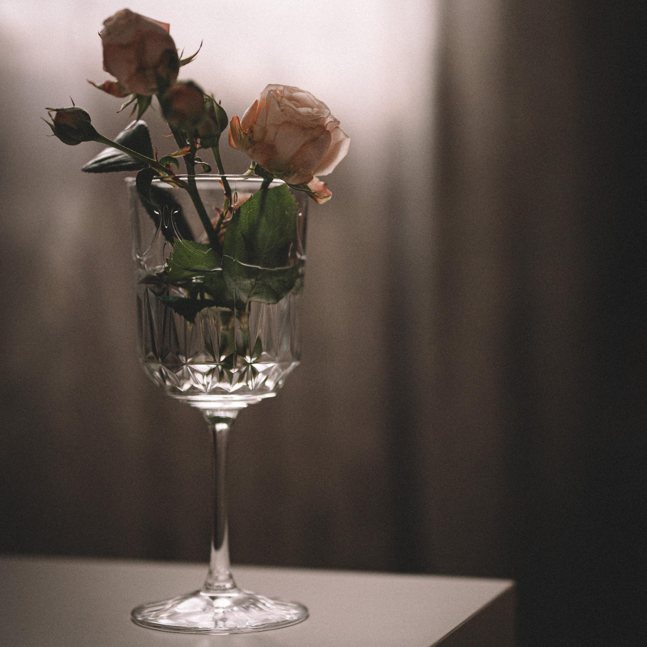 Фотограф Анна Темнова. Пенза