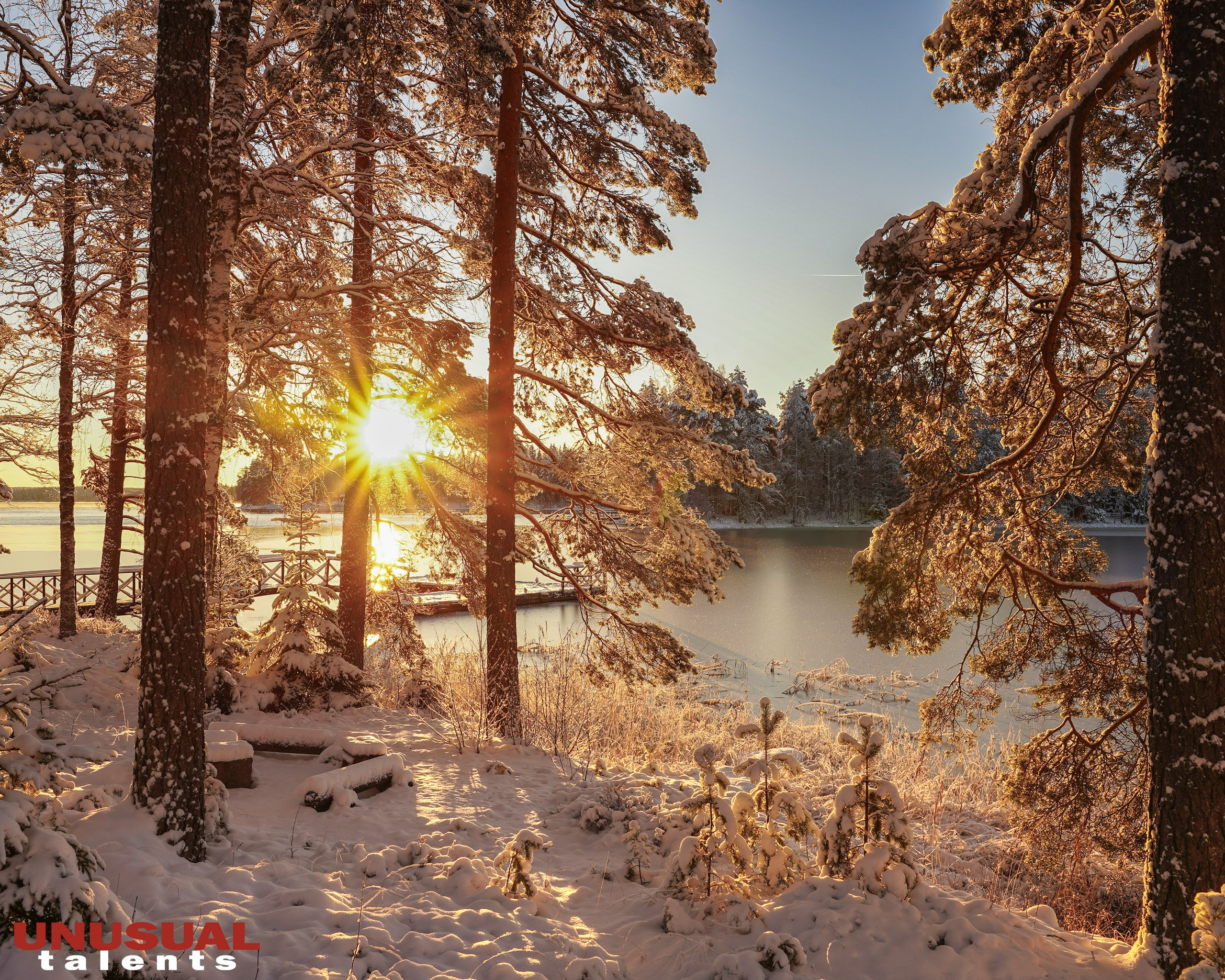 December 01/12/2025 — 15/01/2026. UNUSUAL TALENT magazine