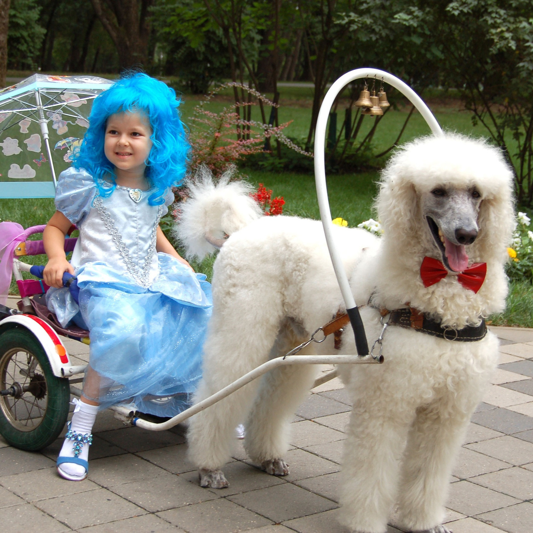 Работаем у моря. Фотостудия Портрет Свадебный и семейный фотограф в Рязани