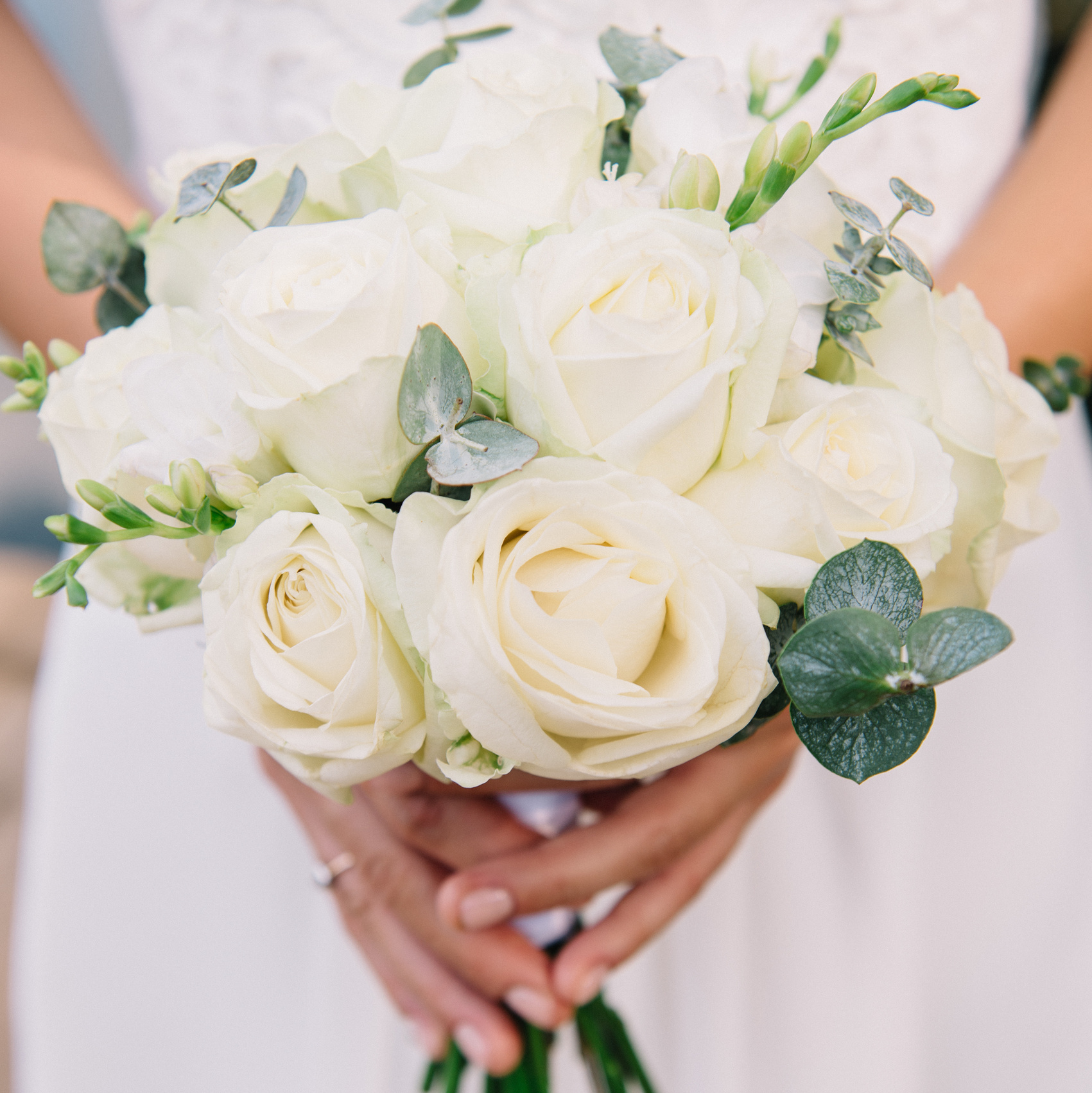 Главная. Nadezhdin Studio