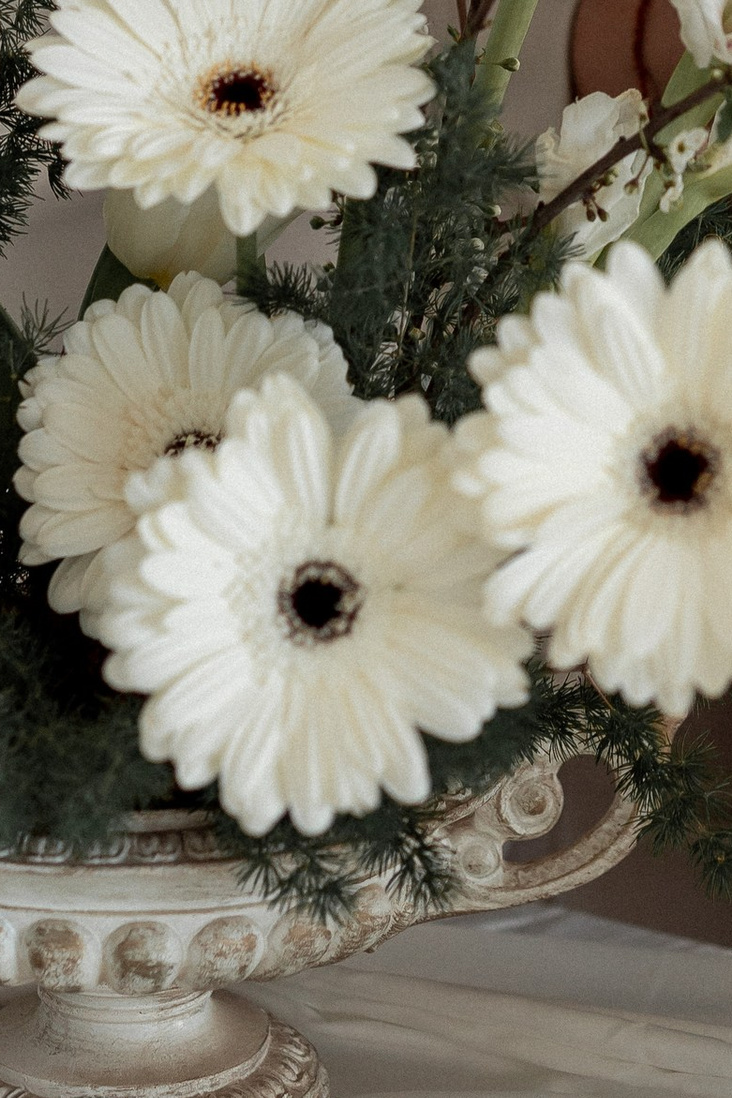 Контакты. ФОТОГРАФ ВЫПУСКНЫХ АЛЬБОМОВ в Краснодаре Ворчик Татьяна