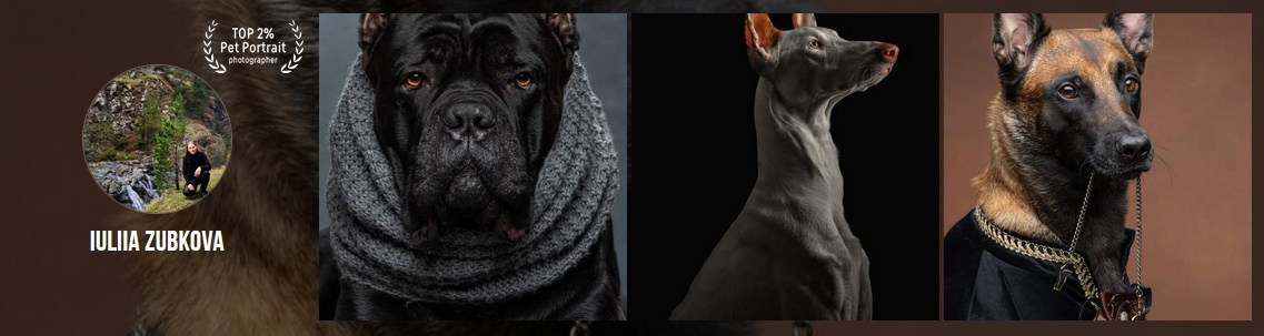 Мои достижения. Фотограф-анималист Юлия Зубкова