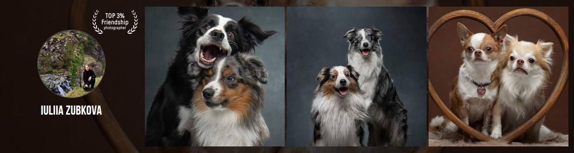 Мои достижения. Фотограф-анималист Юлия Зубкова