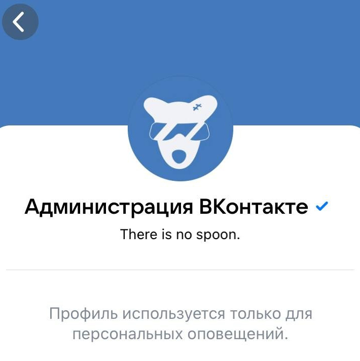 верификация VK, синяя галочка ВК