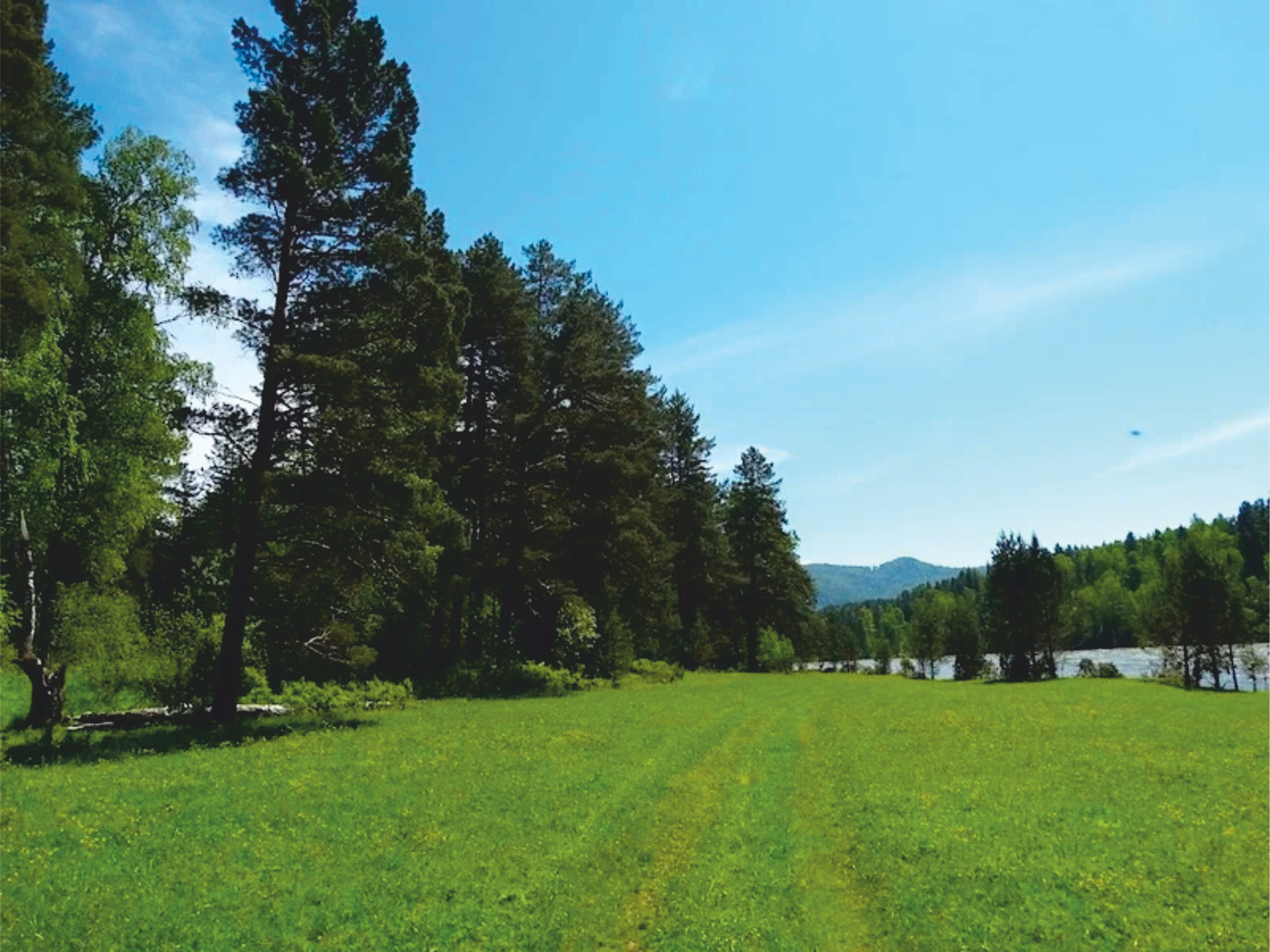 Удаловка. Банк земельных участков Алтая