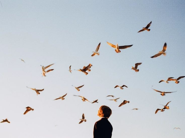 Принципы японской эстетики: ваби-саби, сибуй и юген. Ирина Чернова — портретный фотограф и маркетолог из Владивостока