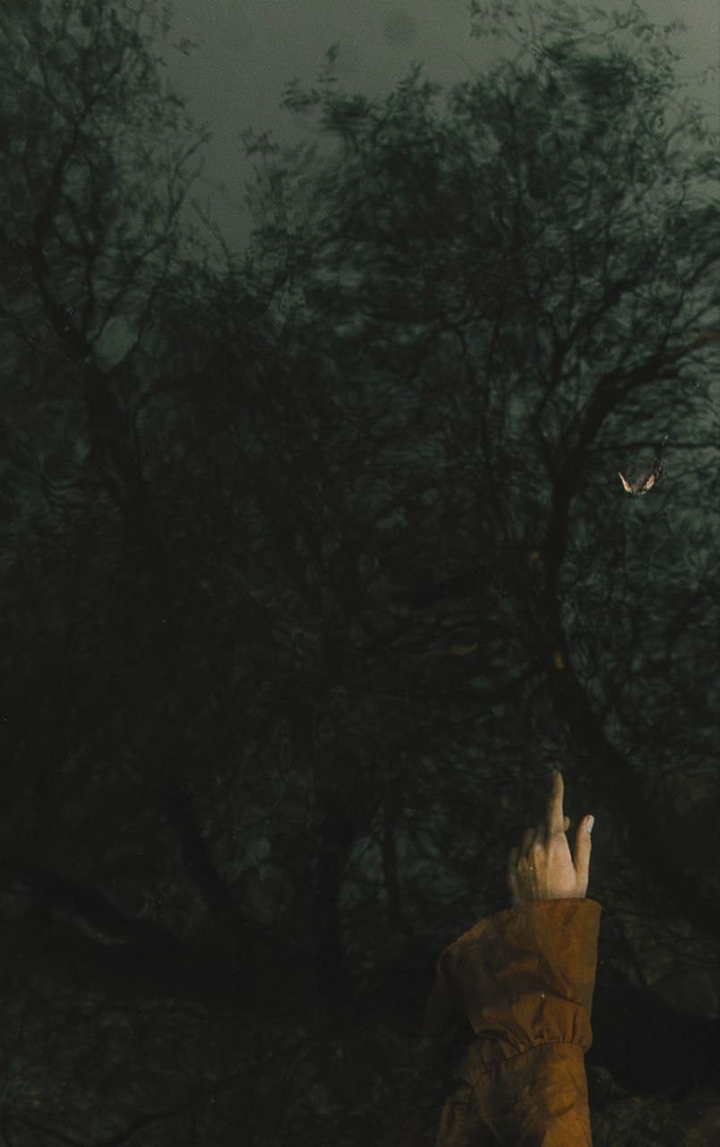 Group exhibitionIssue —Open Theme 2025 °F-STOP Magazine (June 2025). MAIN