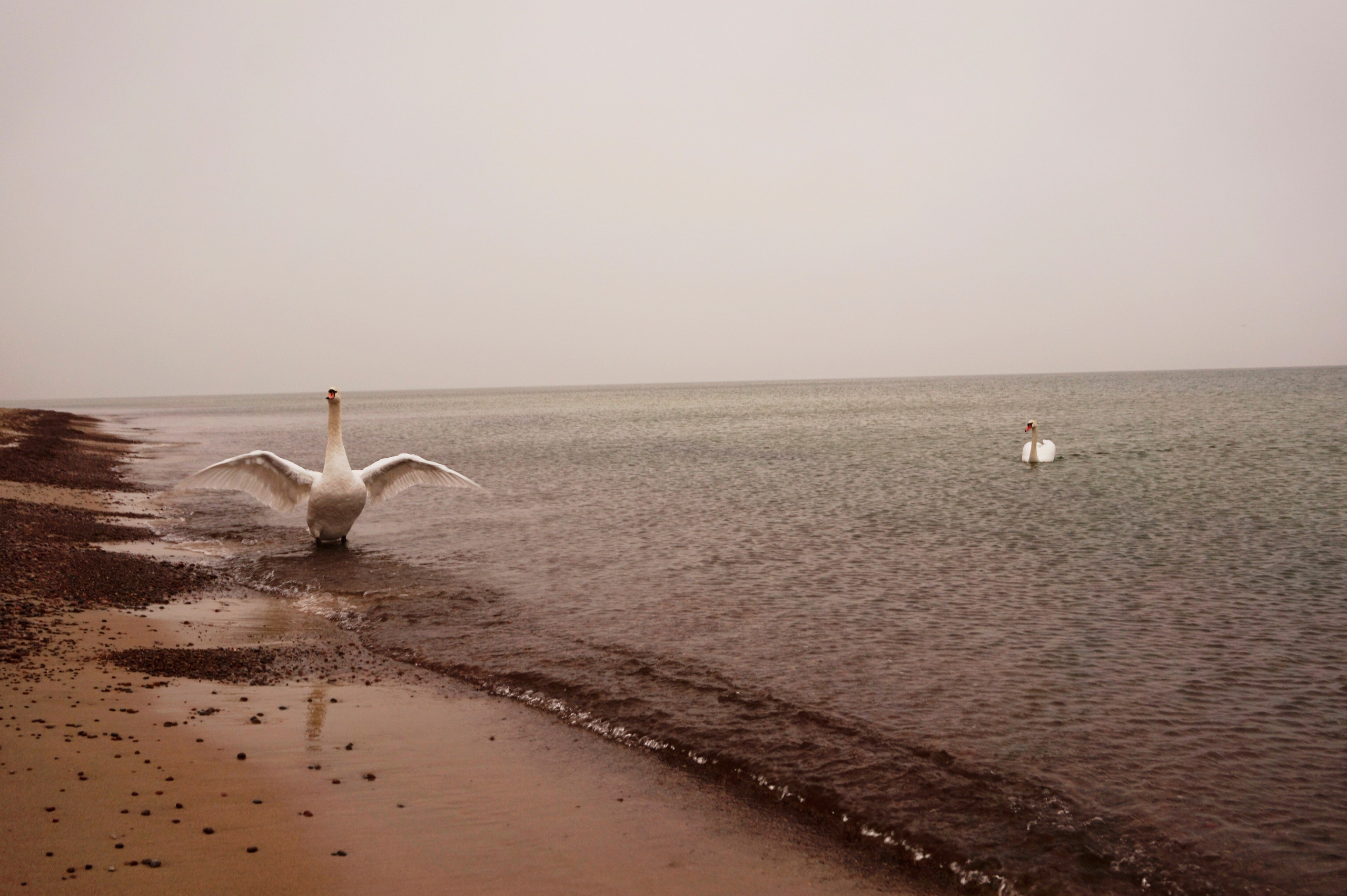 В поисках моря. Арт-фотография, терапевтическая фотография в Москве. Фотограф Анна Ермолова