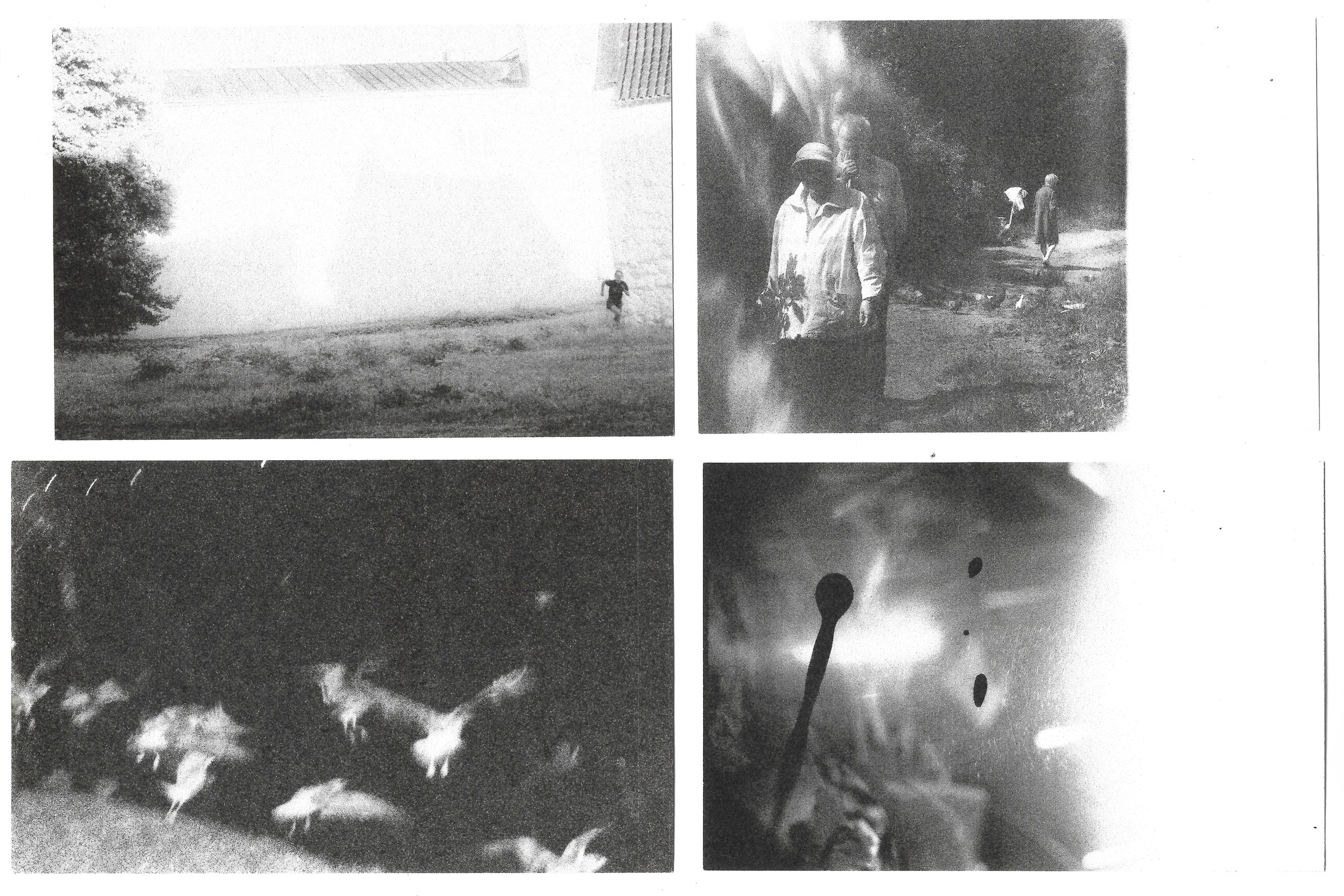 Продукты фотографа и коллажитса Павловой Анны