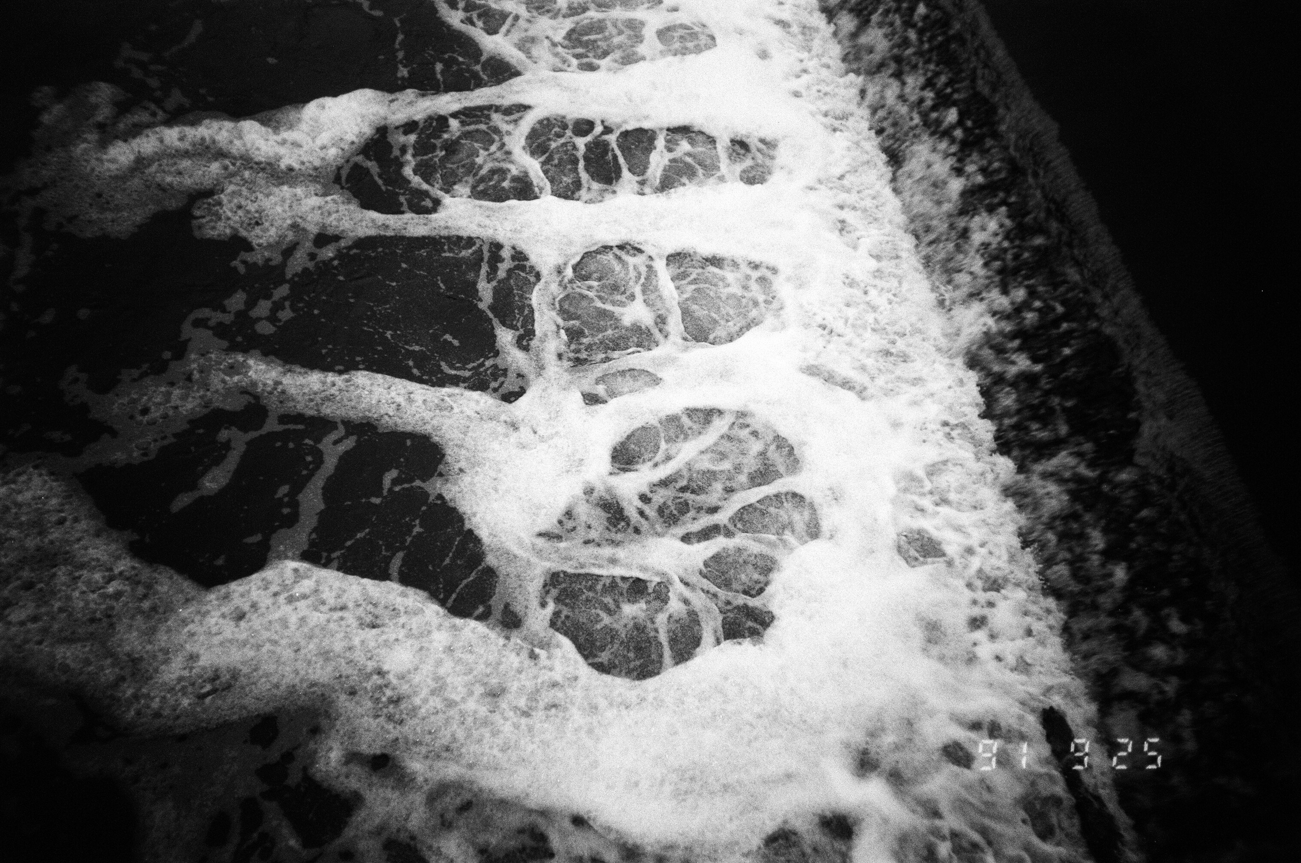 Зин и проект Что-то разбудило чудовищ. Козлова Екатерина. Междисциплинарная визуальная художница