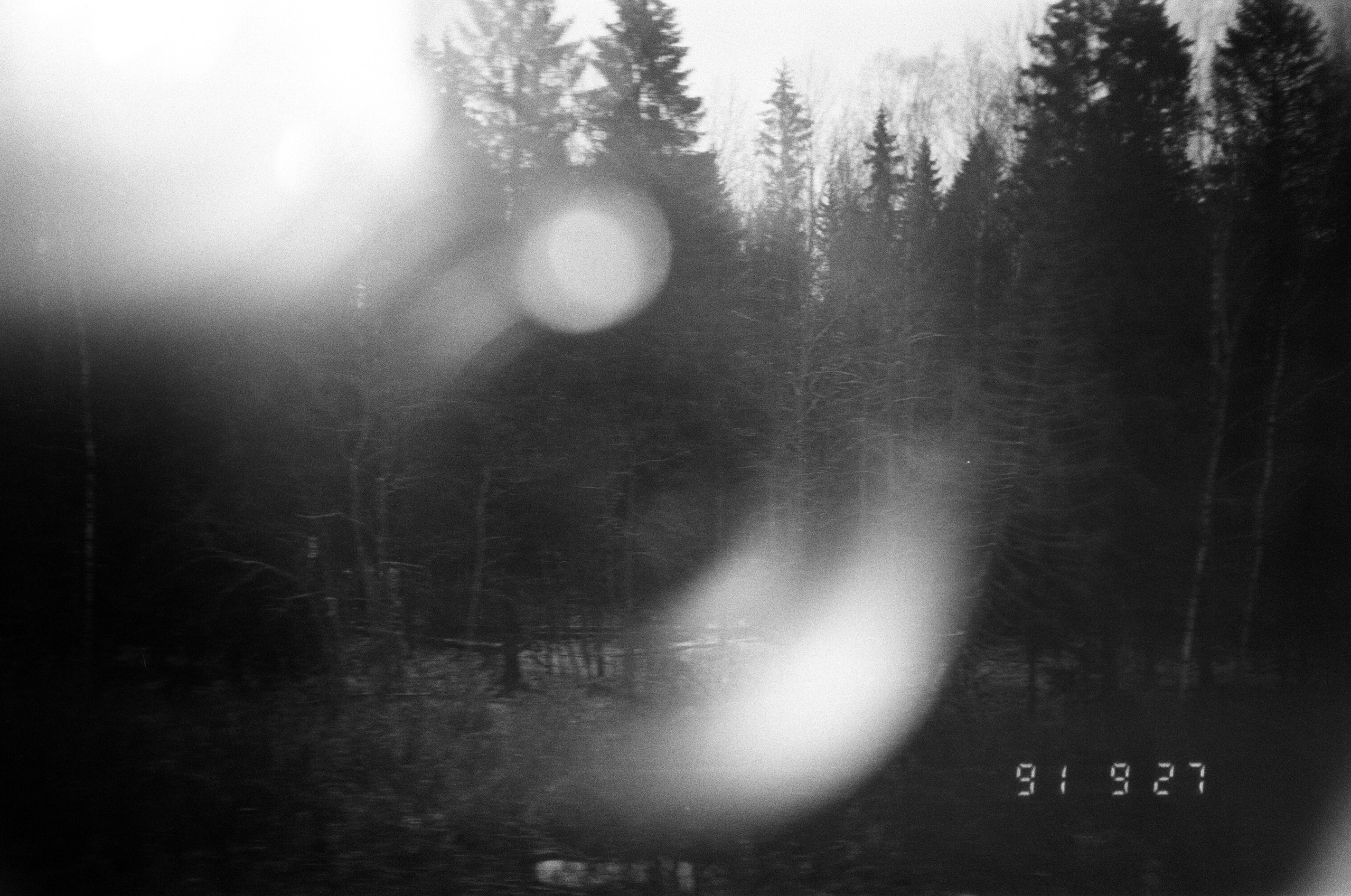 Зин и проект Что-то разбудило чудовищ. Козлова Екатерина. Междисциплинарная визуальная художница