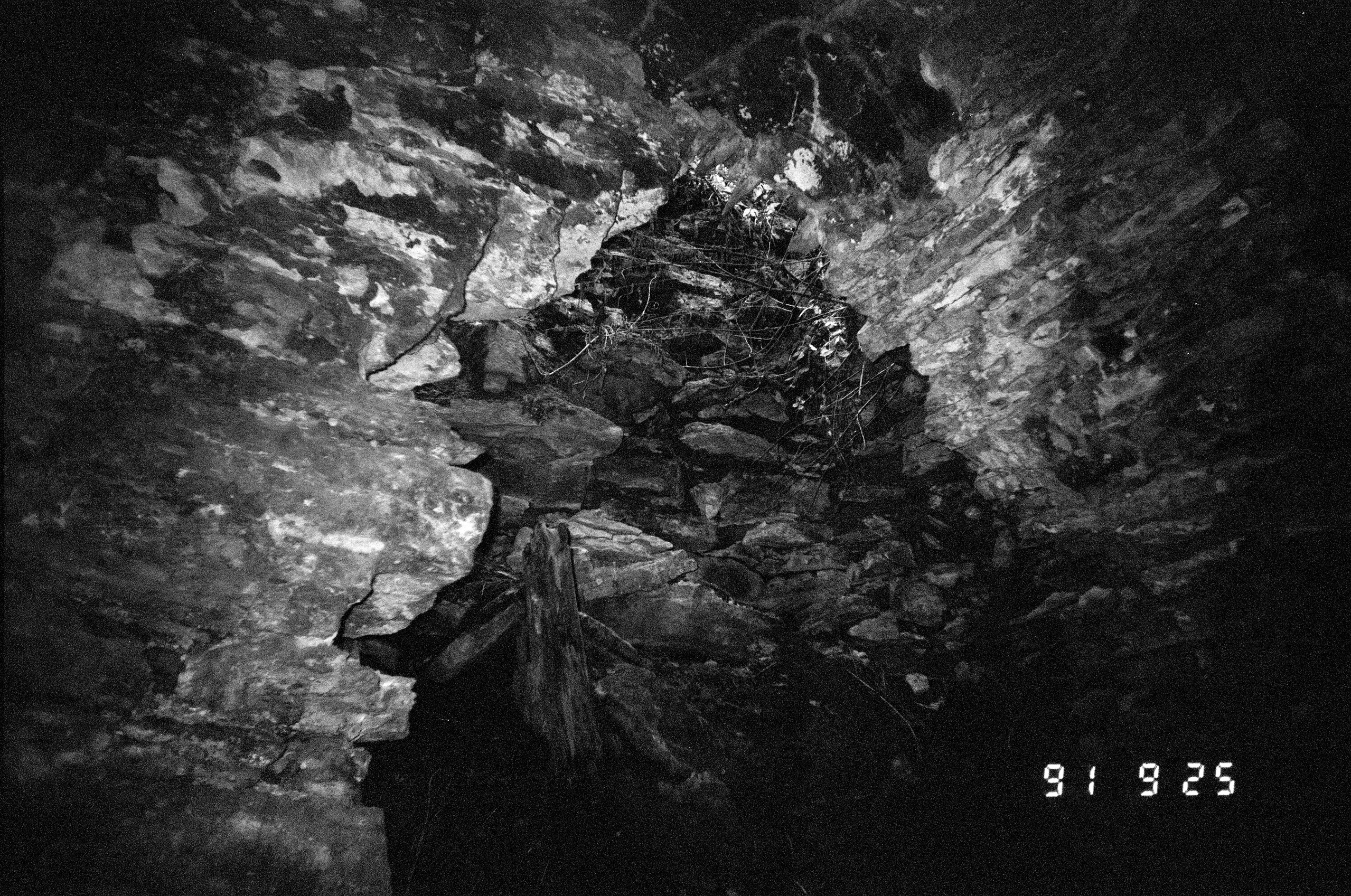 Зин и проект Что-то разбудило чудовищ. Козлова Екатерина. Междисциплинарная визуальная художница