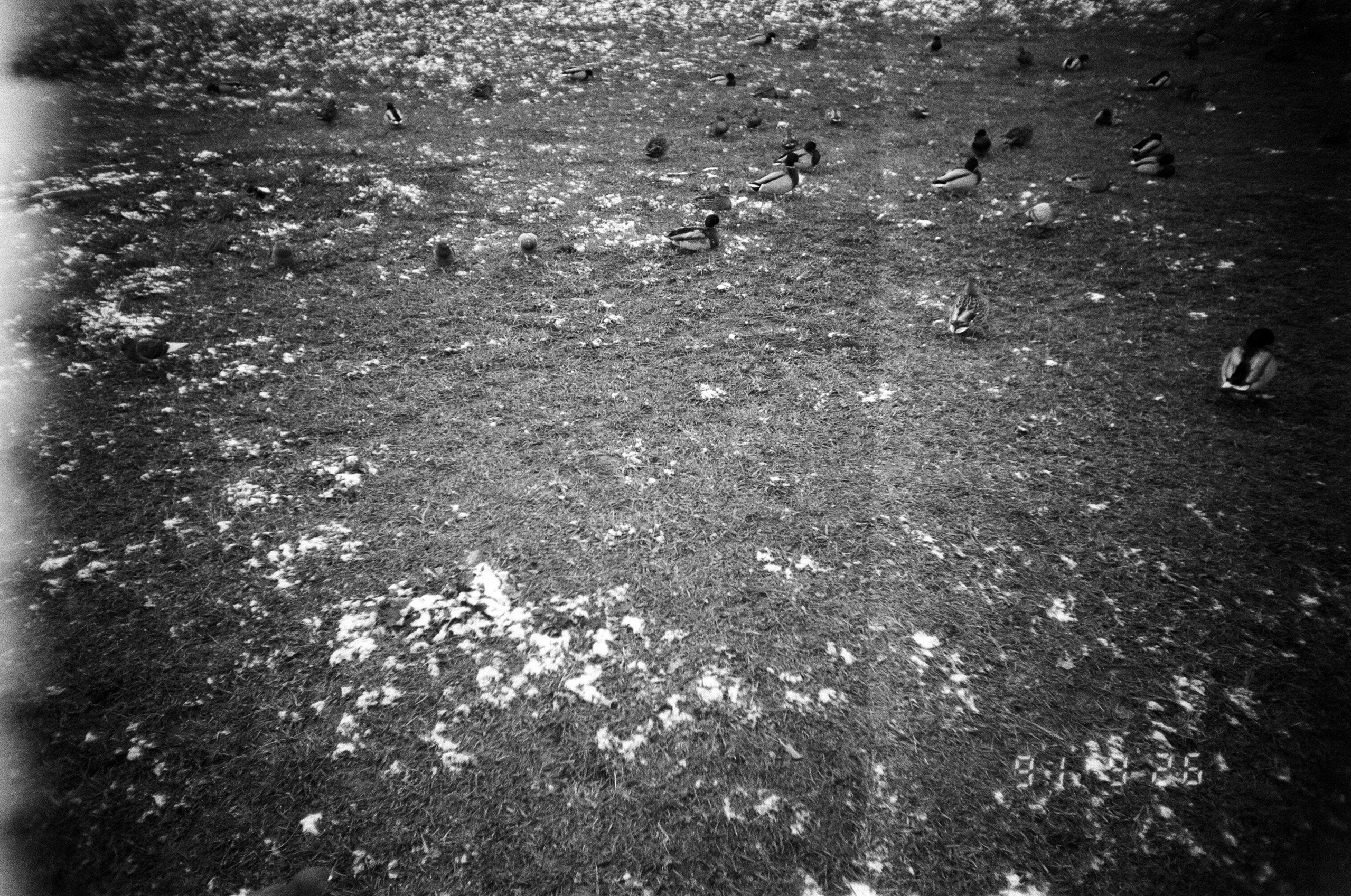 Зин и проект Что-то разбудило чудовищ. Козлова Екатерина. Междисциплинарная визуальная художница