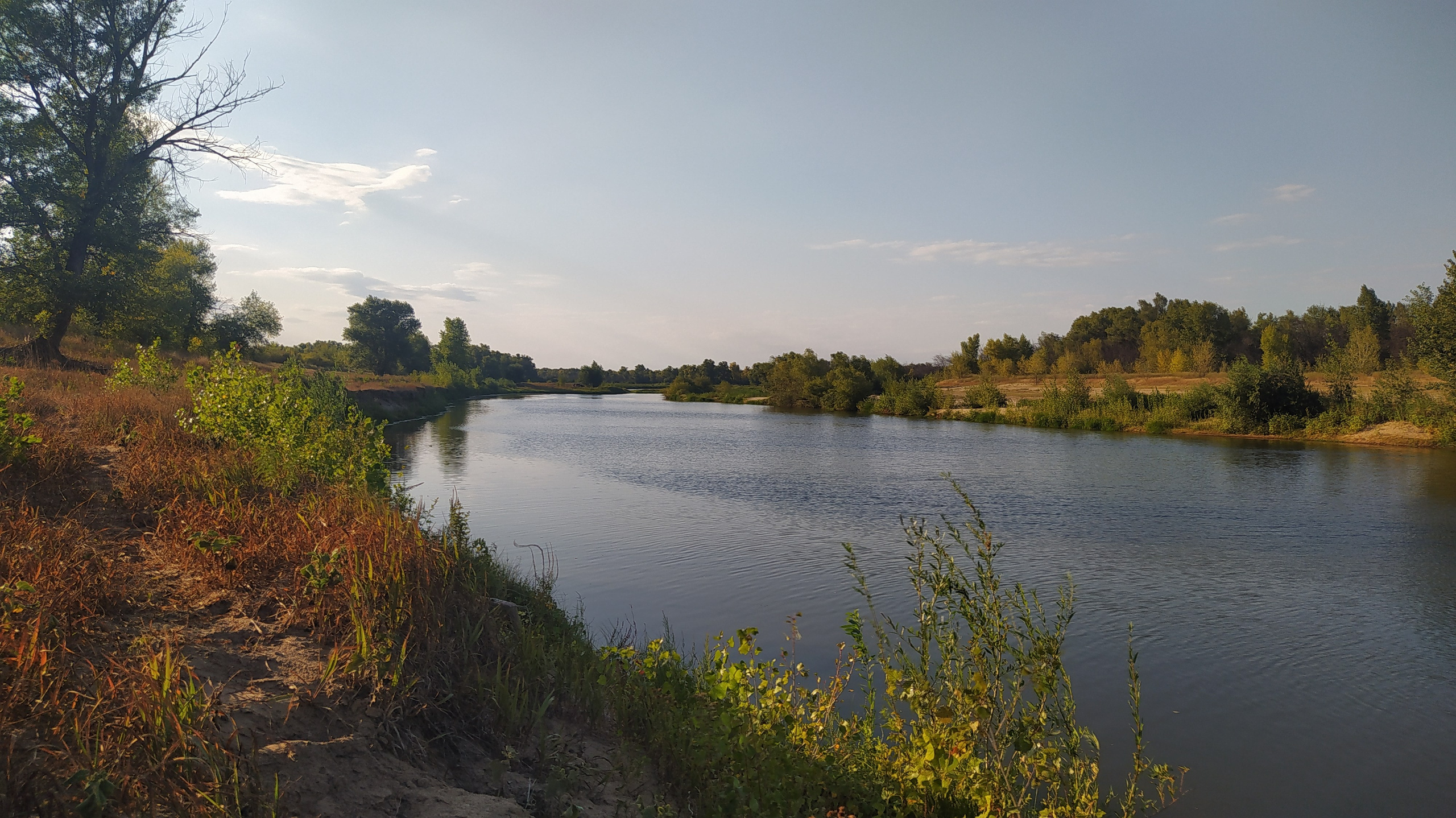 Синрин-йоку. Марина Рыбкина — Глубинная психология