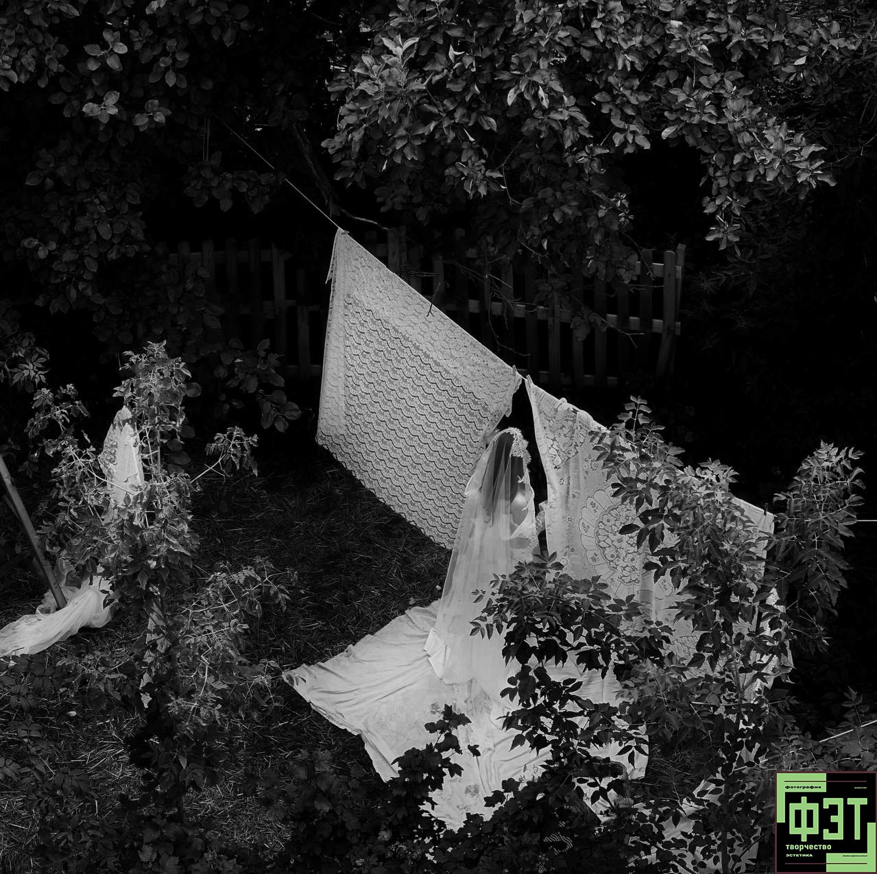 Альбом 23.08.2026 в рамках ФЭТ