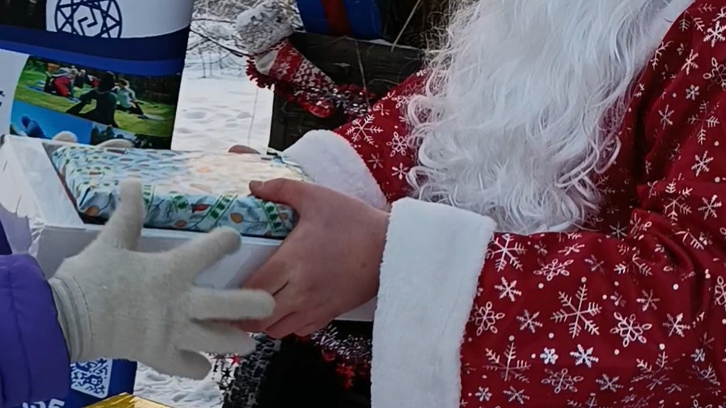 Новости. Конные прогулки в клубе «Анкор» — Омск