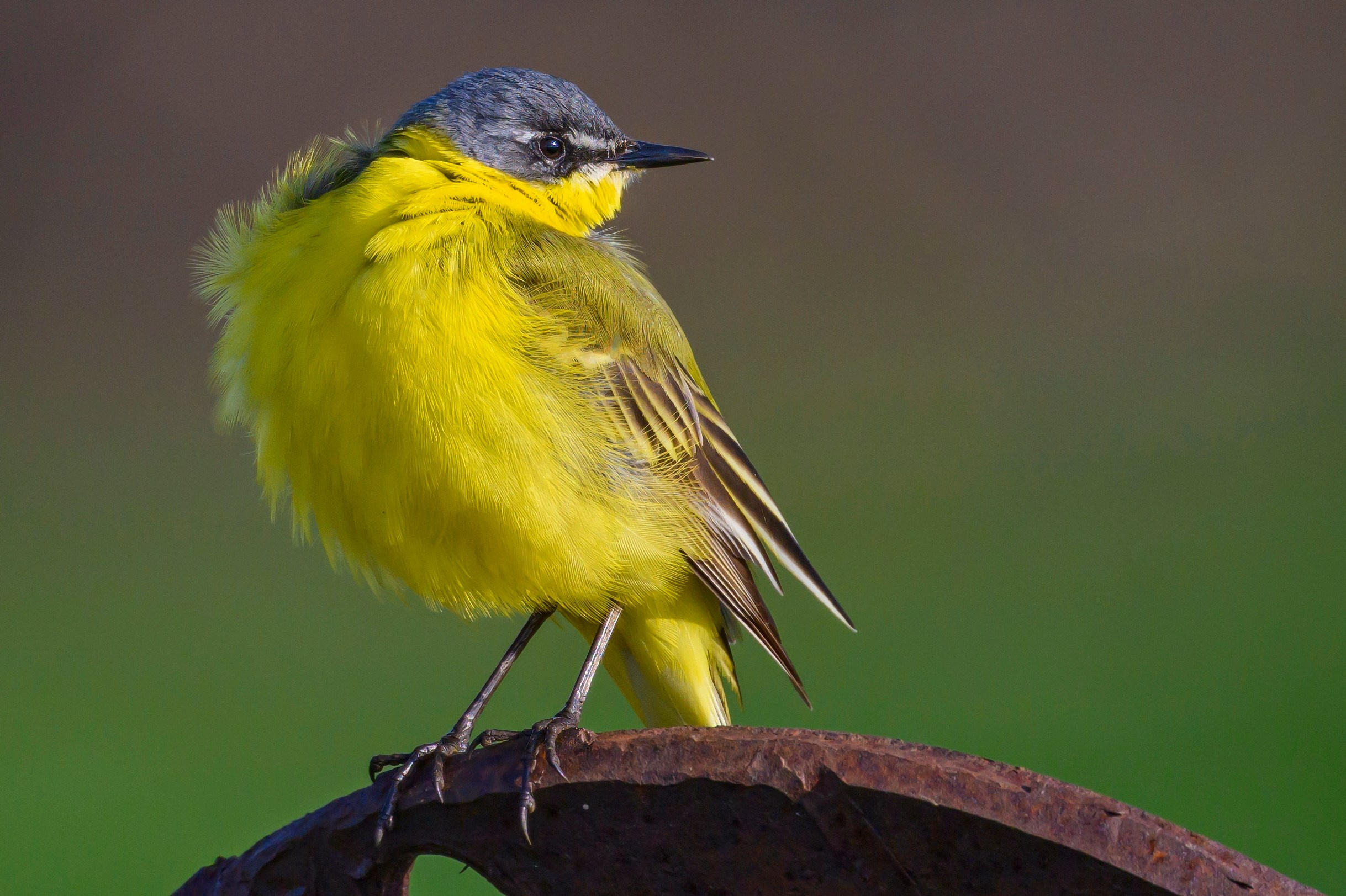 Ждем хорошую погоду. Фотограф Сергей Пупонин