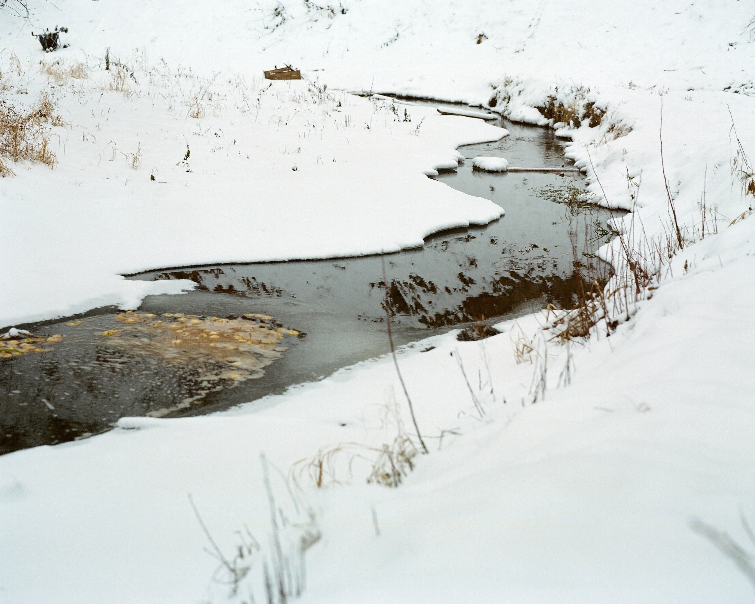 Group exhibition at the ''Khodynka Gallery''. Екатерина Васильева художник, куратор и преподаватель