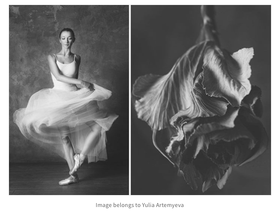 Press — design swan