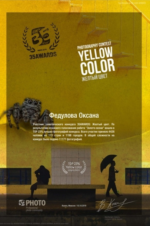 Дипломы и сертификаты. Фотоцентр Перспектива: выпускные альбомы, фотошкола, курсы фотографии