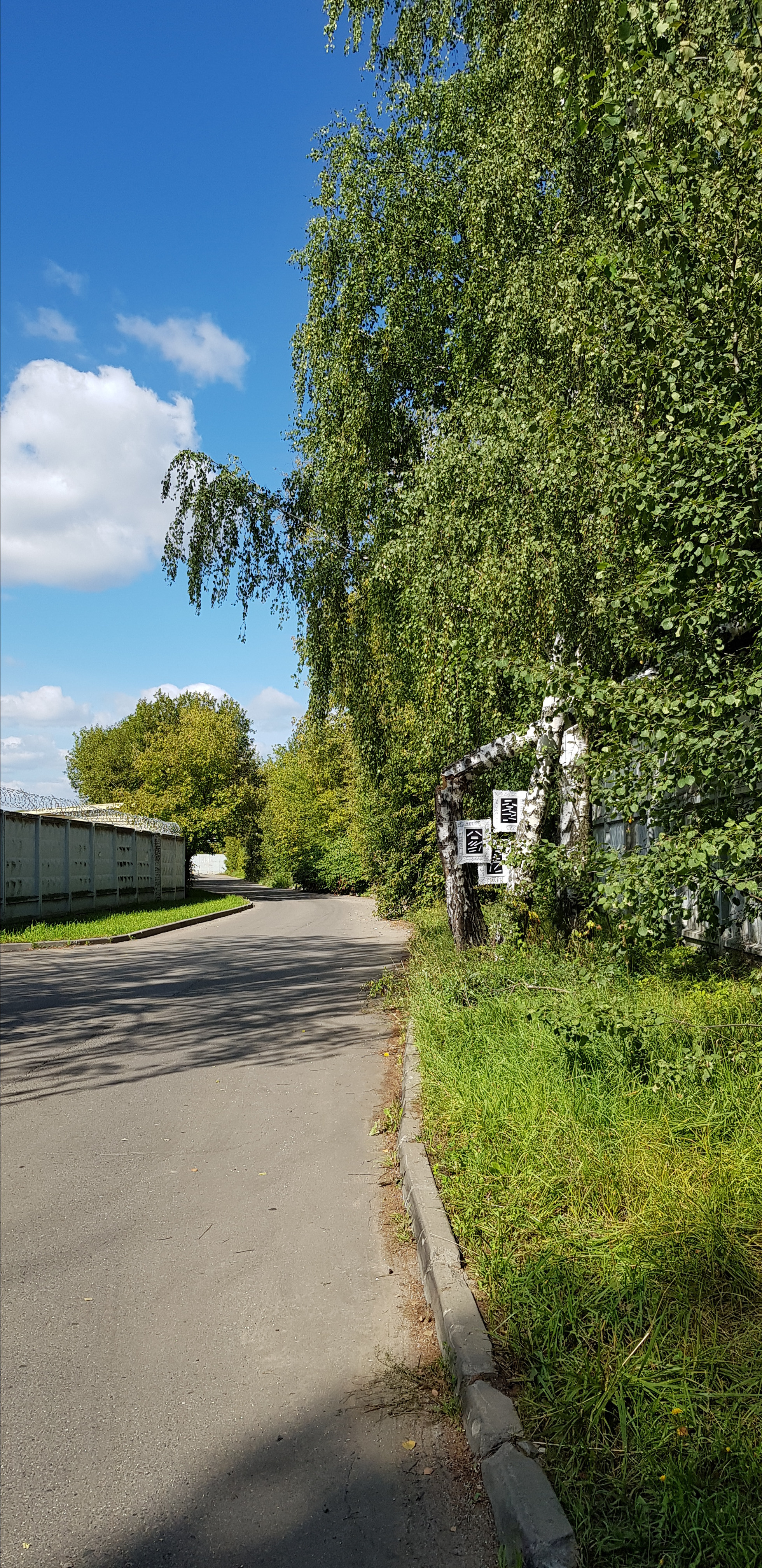 Параллельная программа — Красная 2023