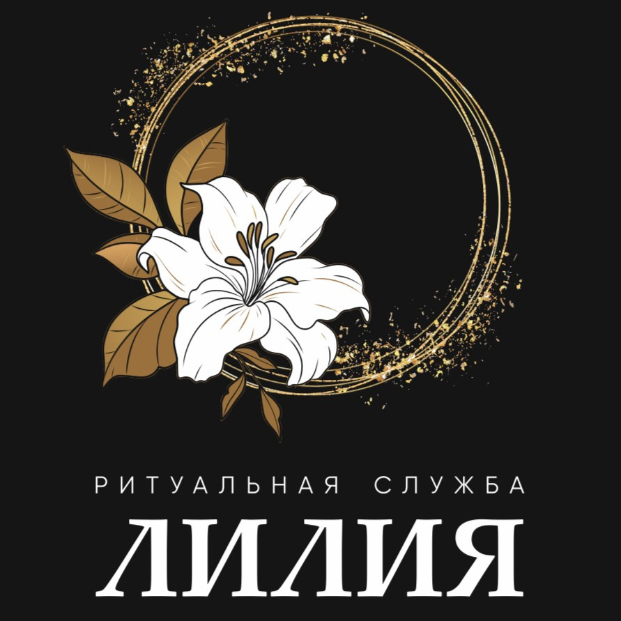 Главная