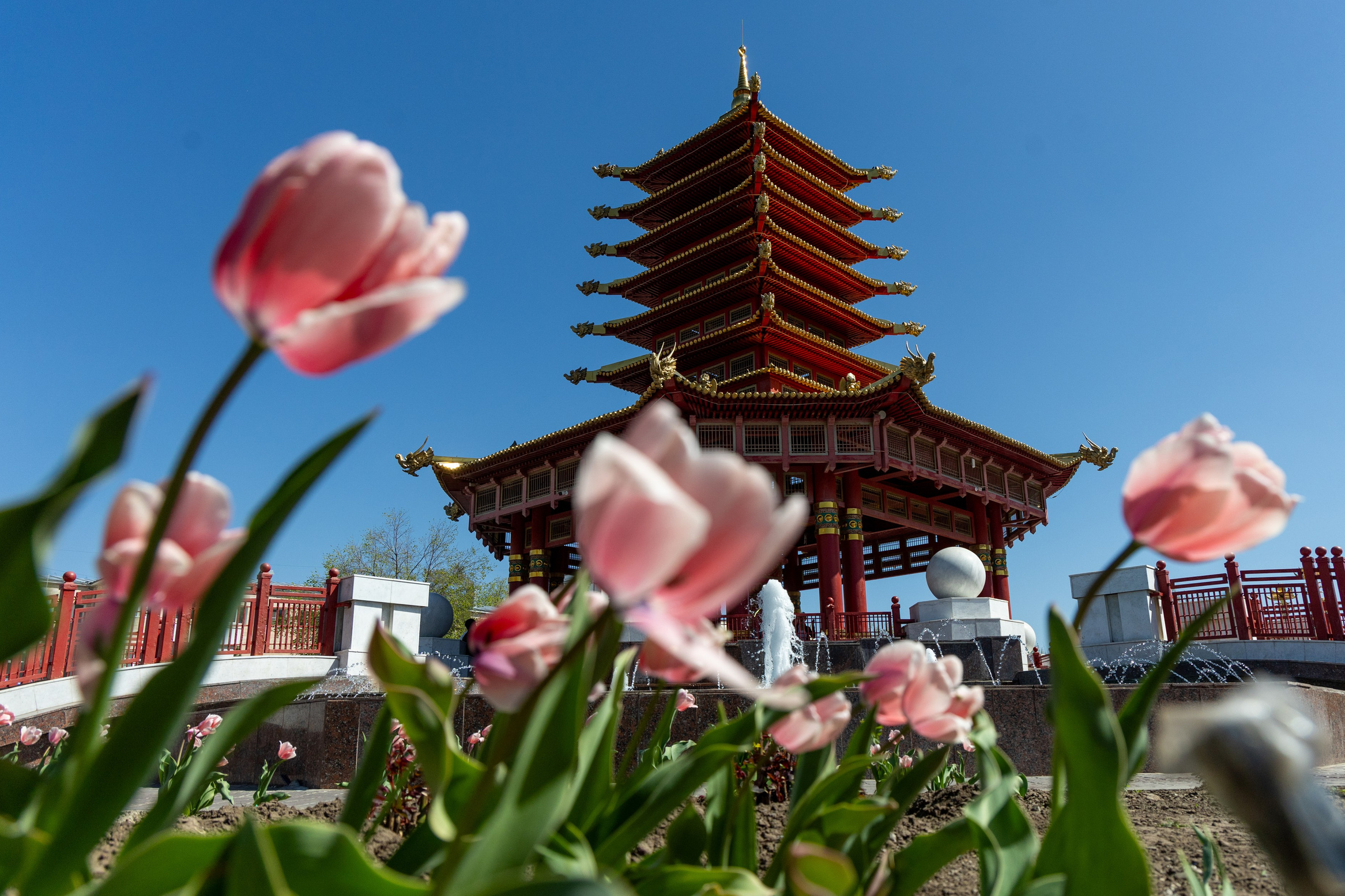 Республика Калмыкия. Фотограф Александр Головин