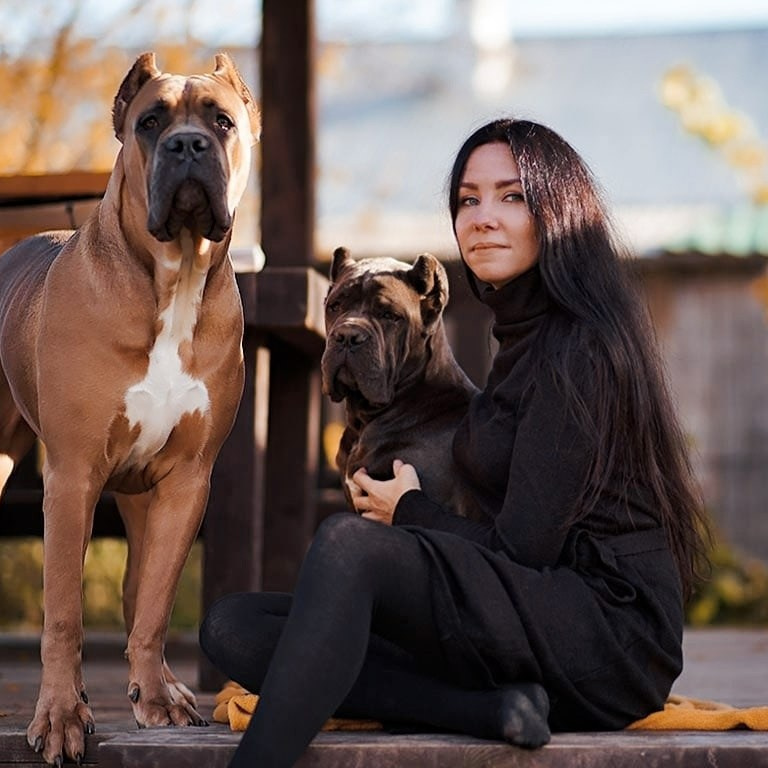 Контакты. Кане Корсо Лайф, щенки породы Кане Корсо, г. Москва