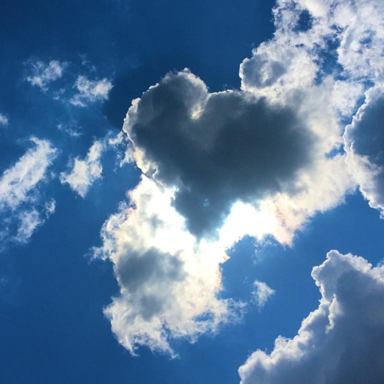 Индивидуальная и групповая фотосессия