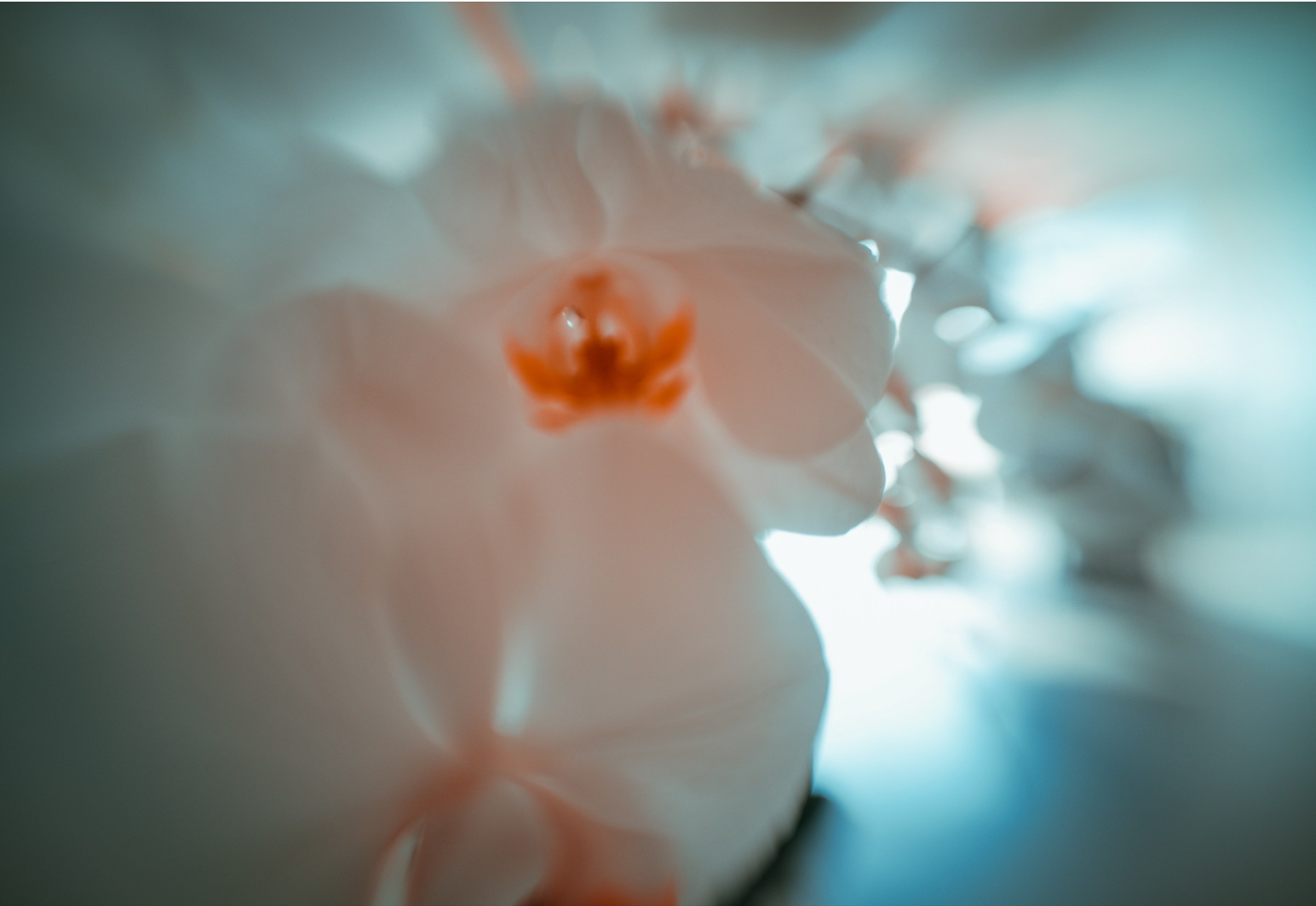 ART BEYOND REASON. International visual artist