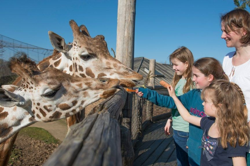 Фотостудии, где снимаем выпускников. Современные Выпускные Альбомы в Ростове-на-Дону