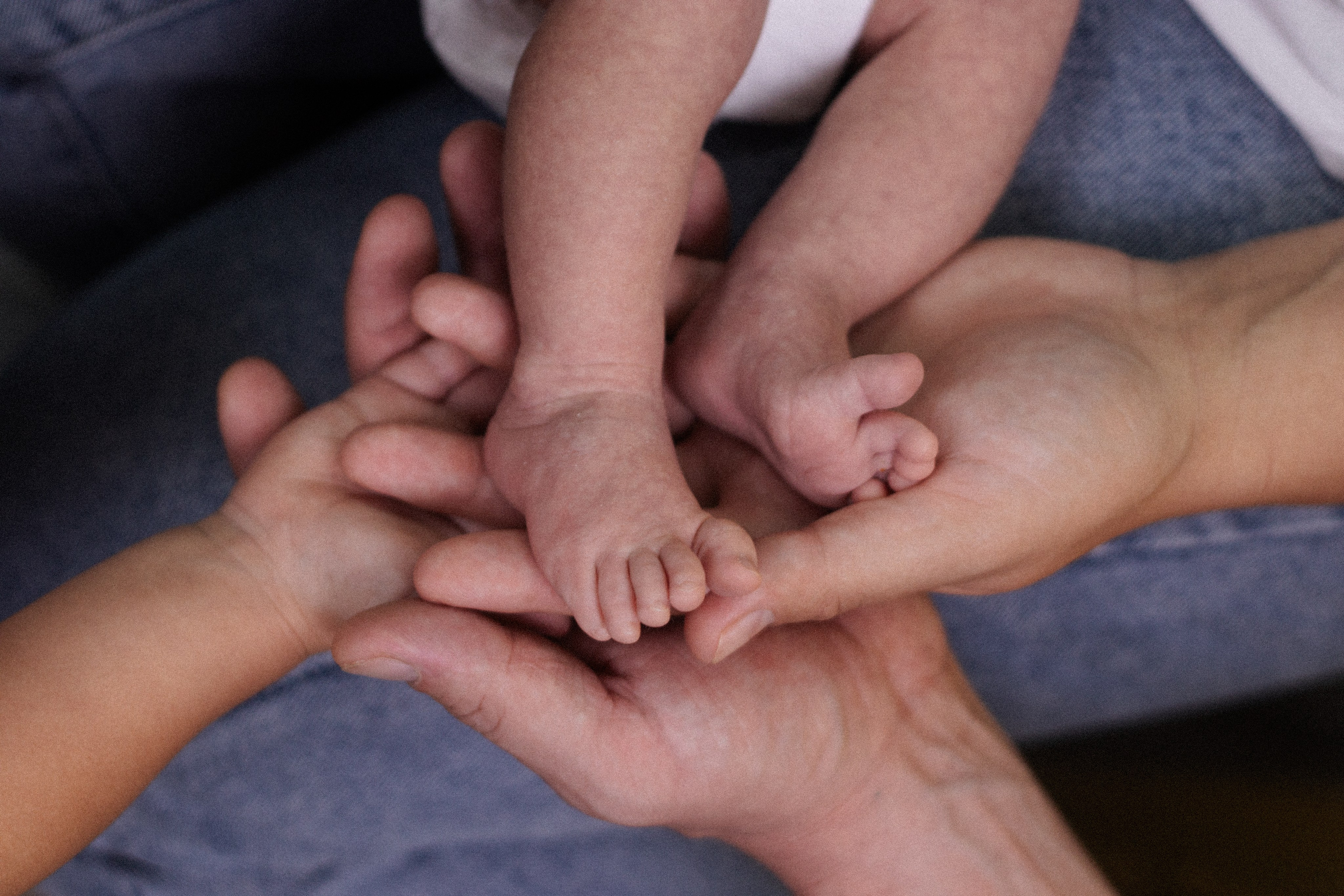 Контакты. Семейная и детская фотография в Плешаново. Валерия Вибе