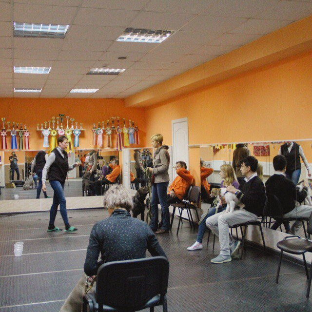 Фитнес для собак