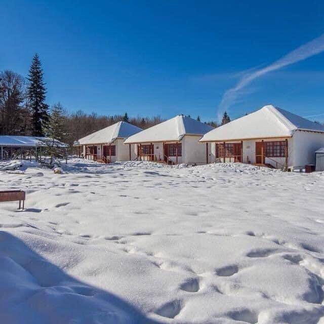 Эко Туризм Камышанова поляна. Инвестиционный консалтинг Недвижимость