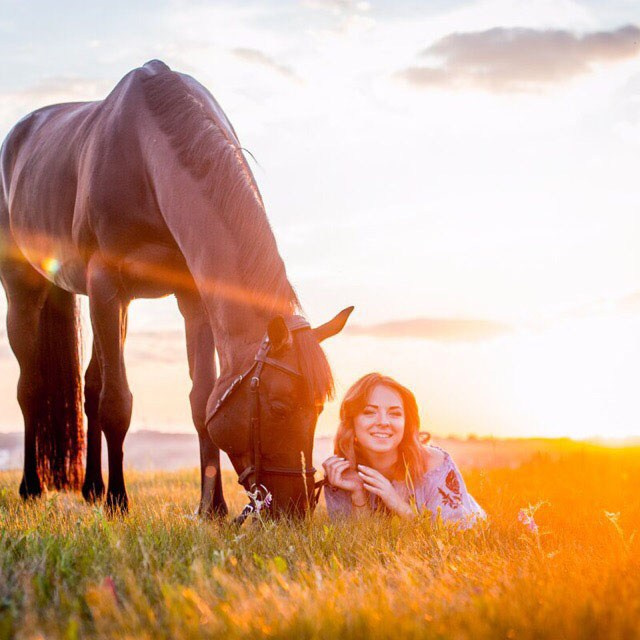 Стоимость. Фотосессии с лошадьми