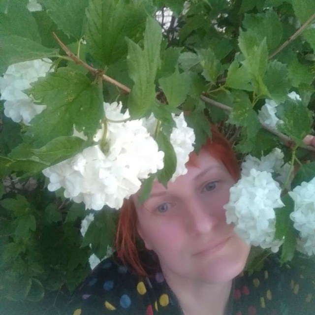 Обучение видеосъемке и монтажу. Видеосъемка и аэросъемка, виртуальные туры в Барнауле и на Алтае