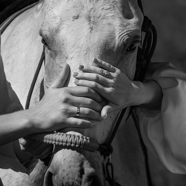 Услуги. Семейный и детский фотограф в Хакасии