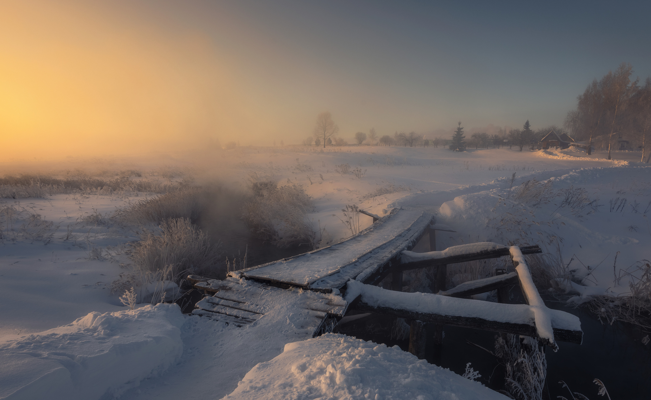 Достижения. Николай Брытков — фотограф в Туле