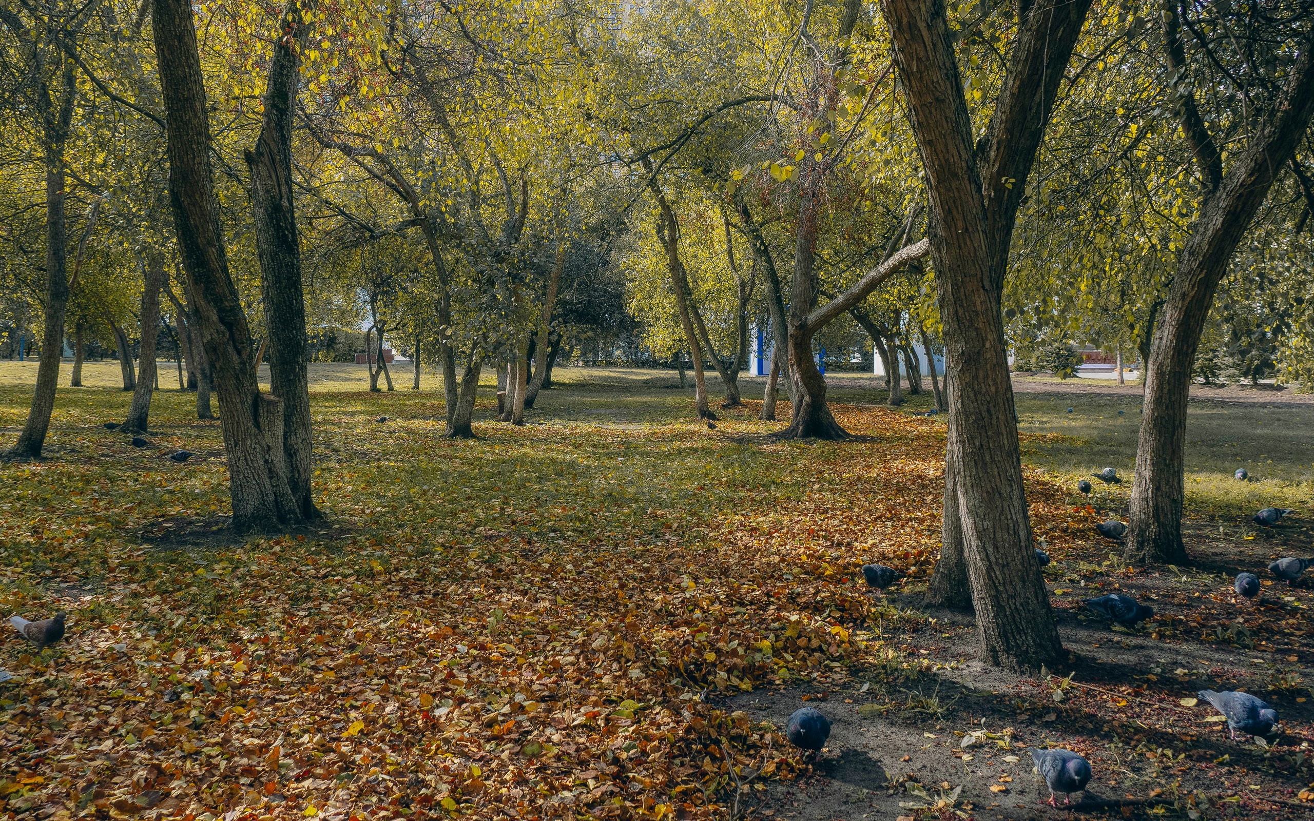Примечательные места. Площадь Памяти в Тюмени