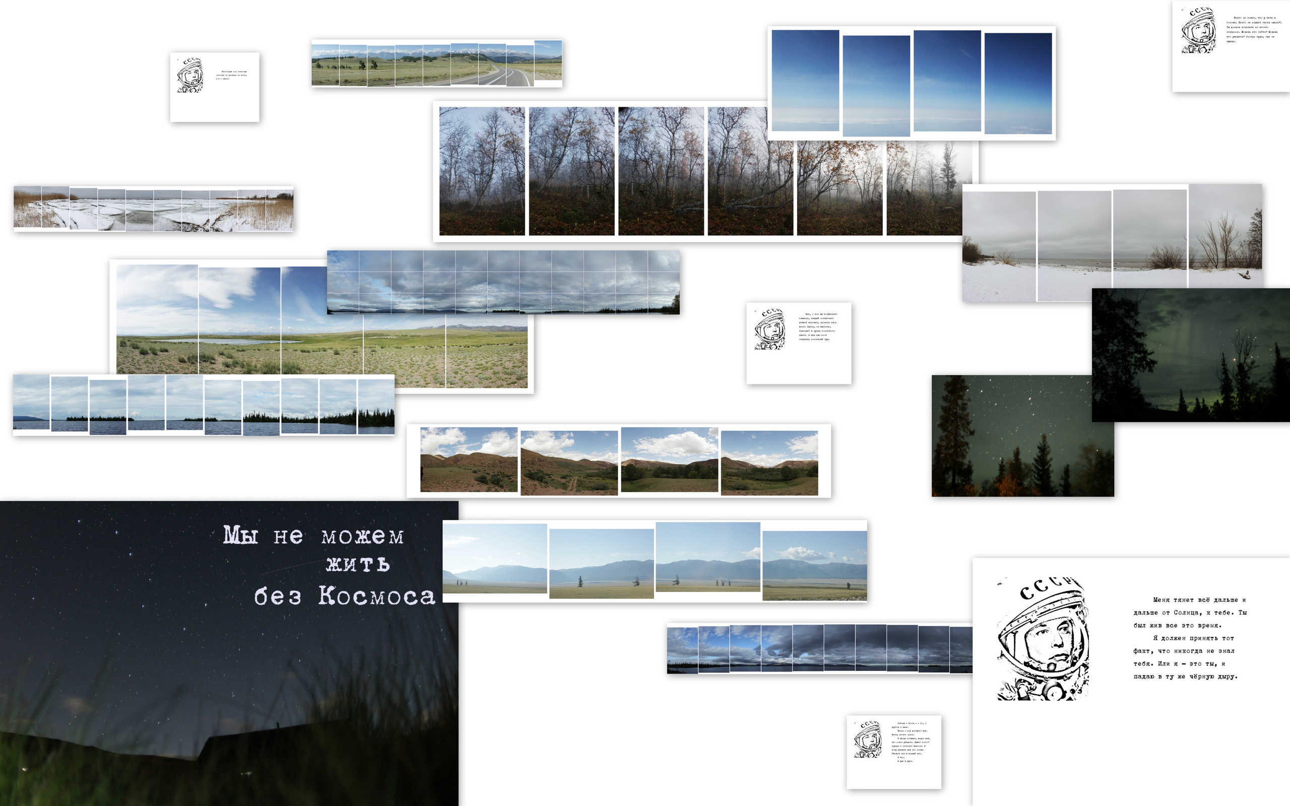 Арина Терехова