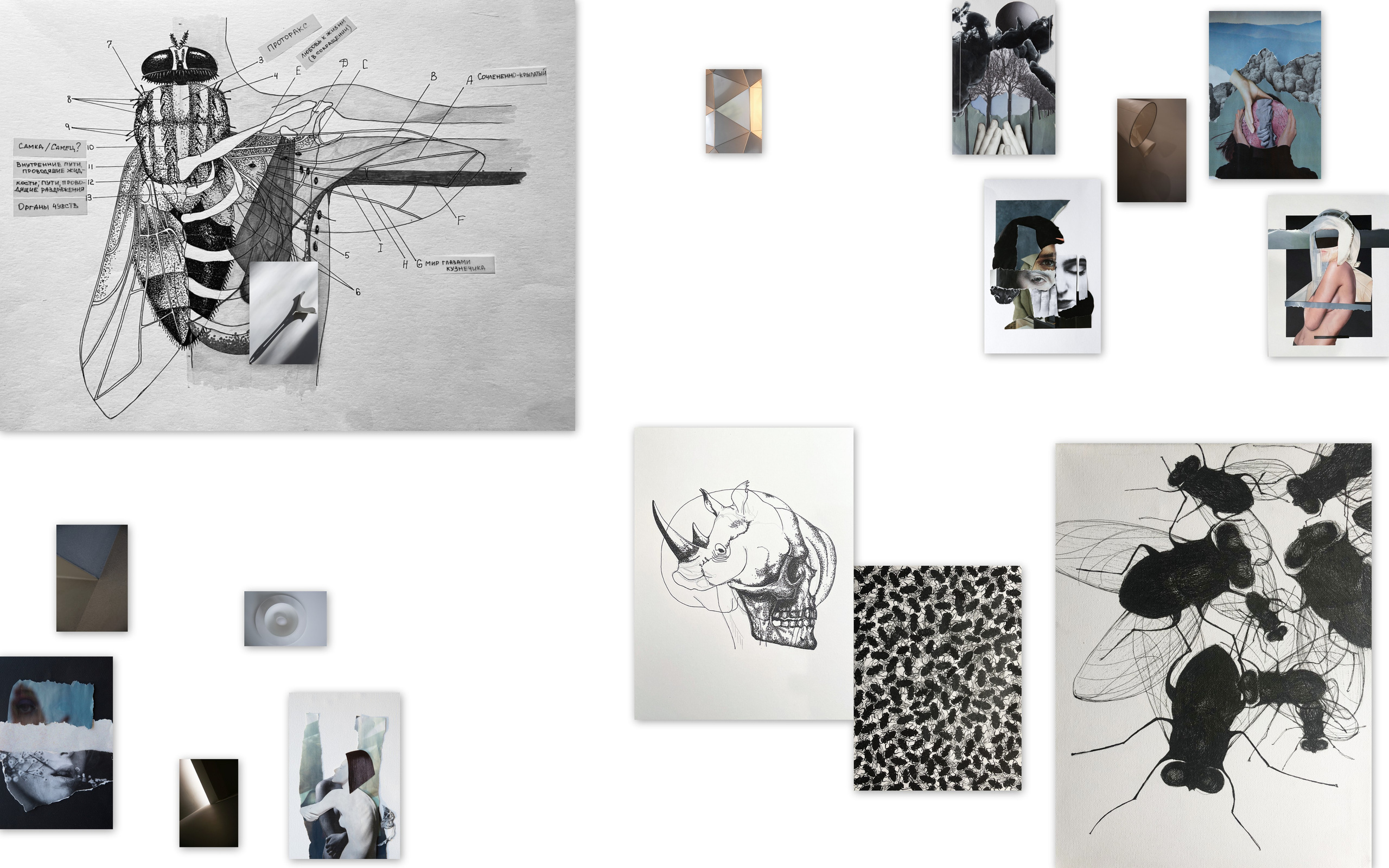 Выставка ''Черный ящик'' с 16 марта по 16 апреля 2021 года