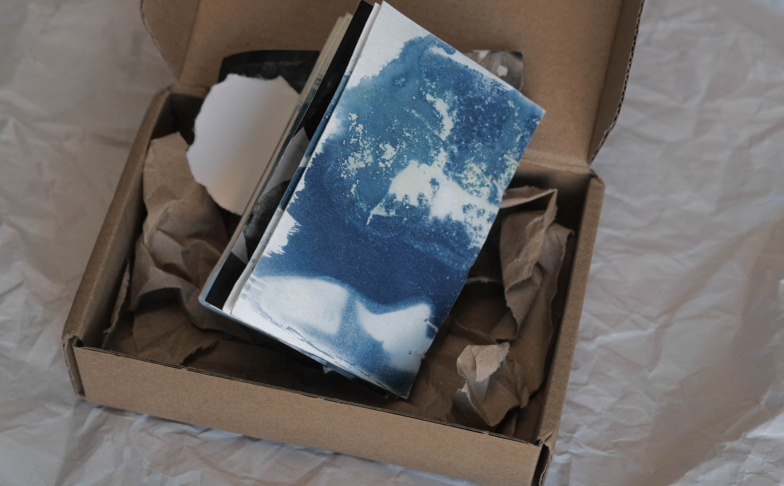 Наблюдатель. Елизавета БаковА