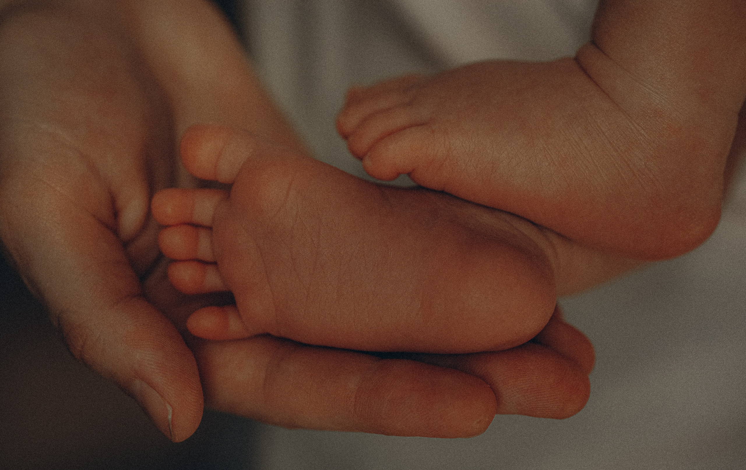 Услуги. Семейный и детский фотограф в Нижнем Новгороде Анурьева Алена