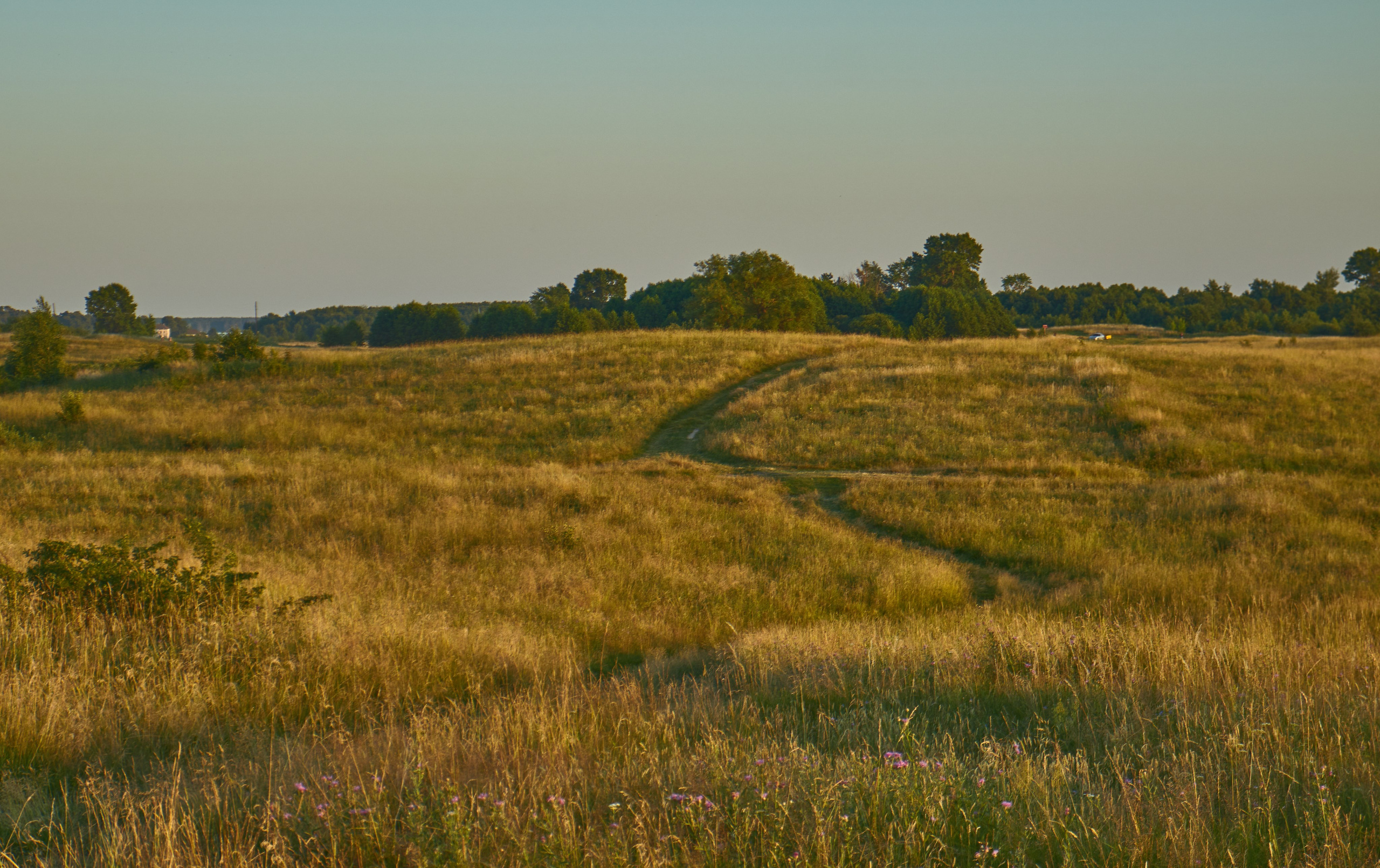 夏季在维什尼沃洛乔克 – 捕捉大自然四季的摄影系列