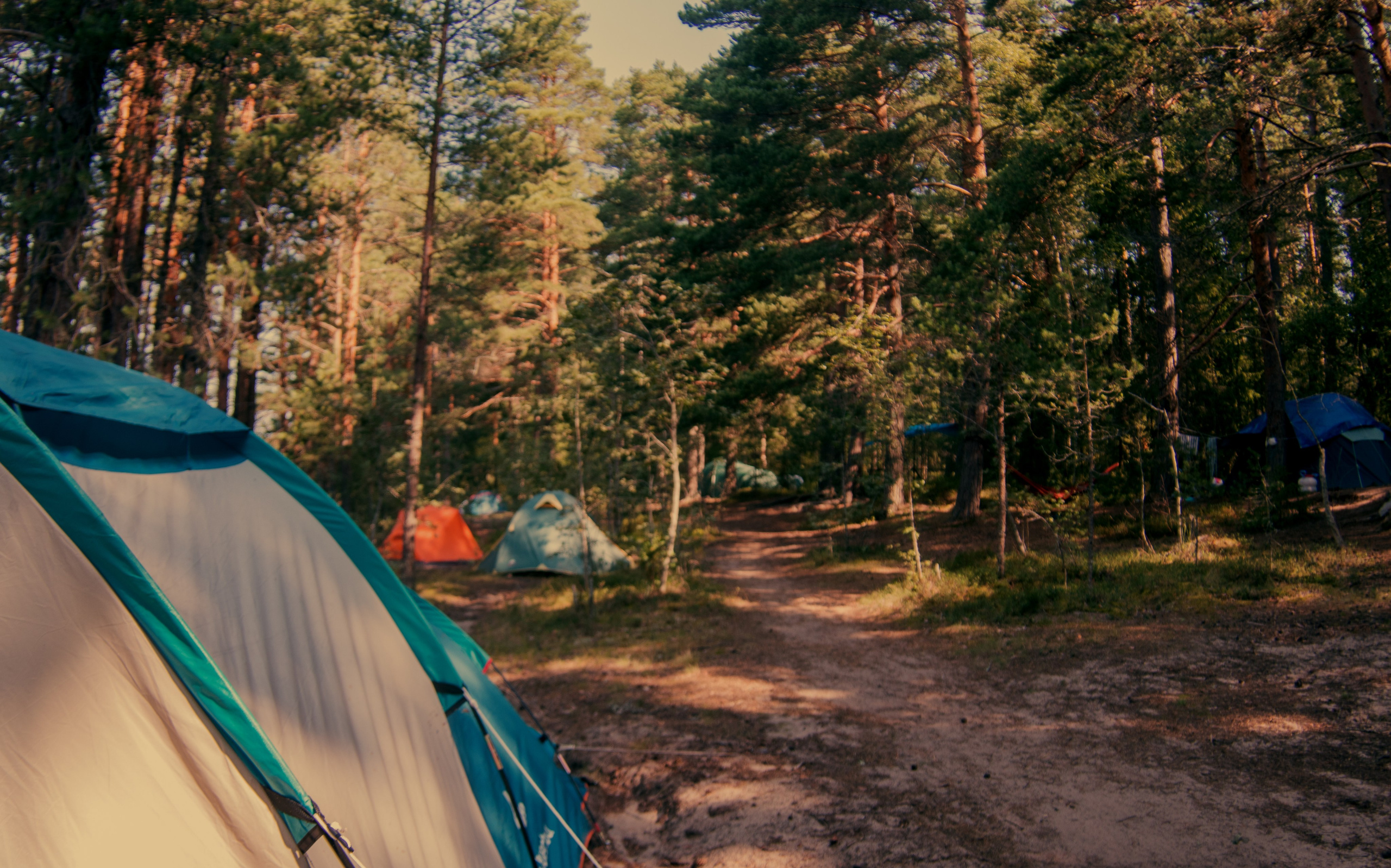 Постеры. Портретный и концертный фотограф в Санкт-Петербурге Егор Телятников