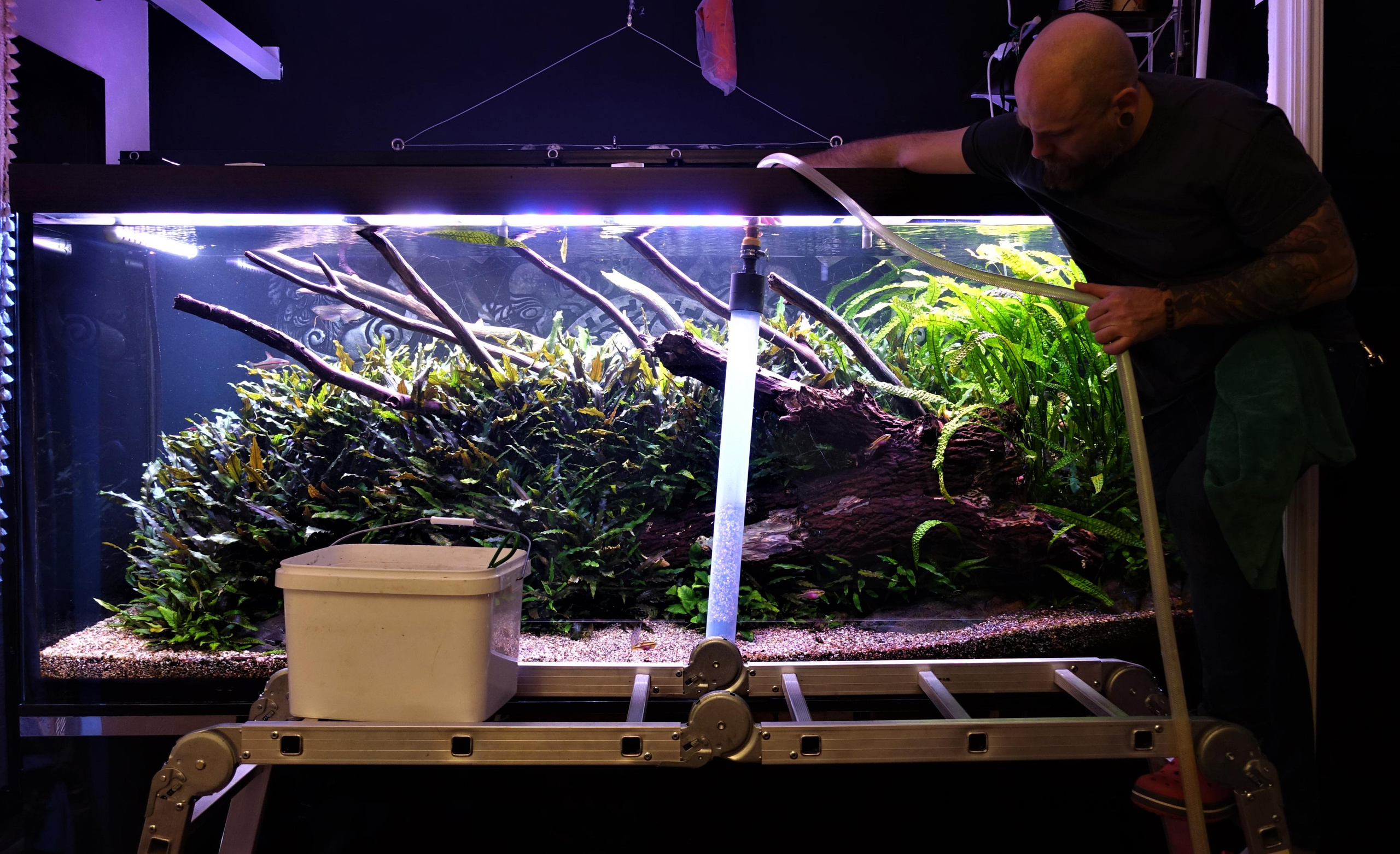 Услуги. СЕРГЕЙ ЛОБАНОВ. Профессиональная аквариумистика в Красноярске